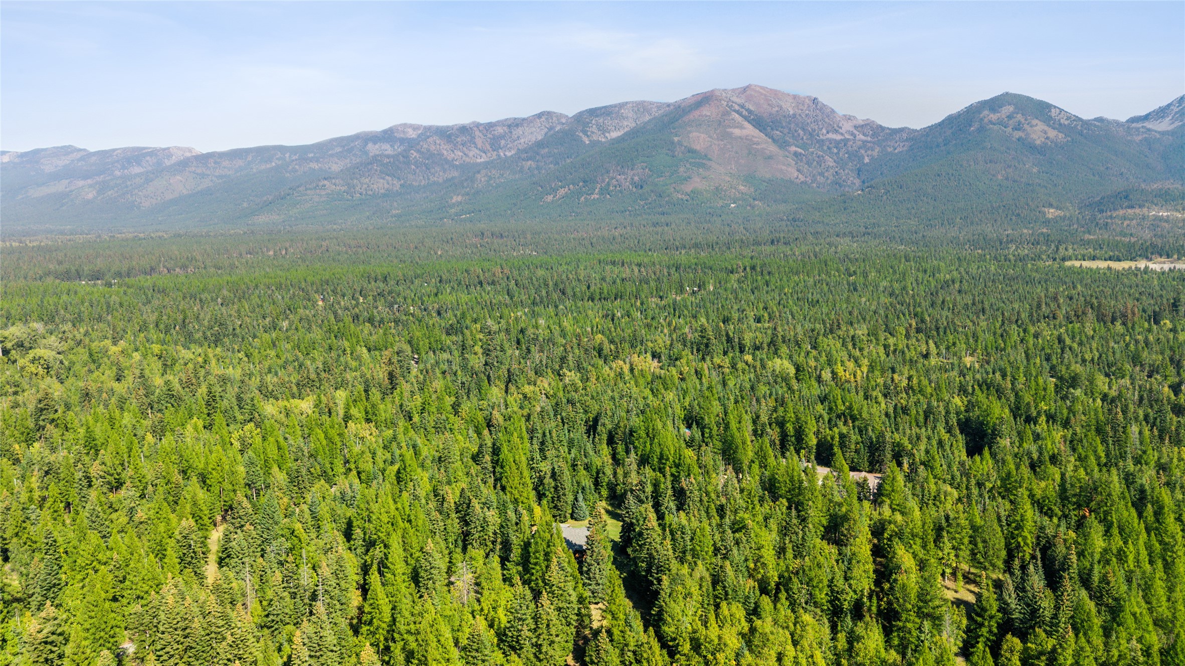 13676 Ridge Loop Road Property Photo 34