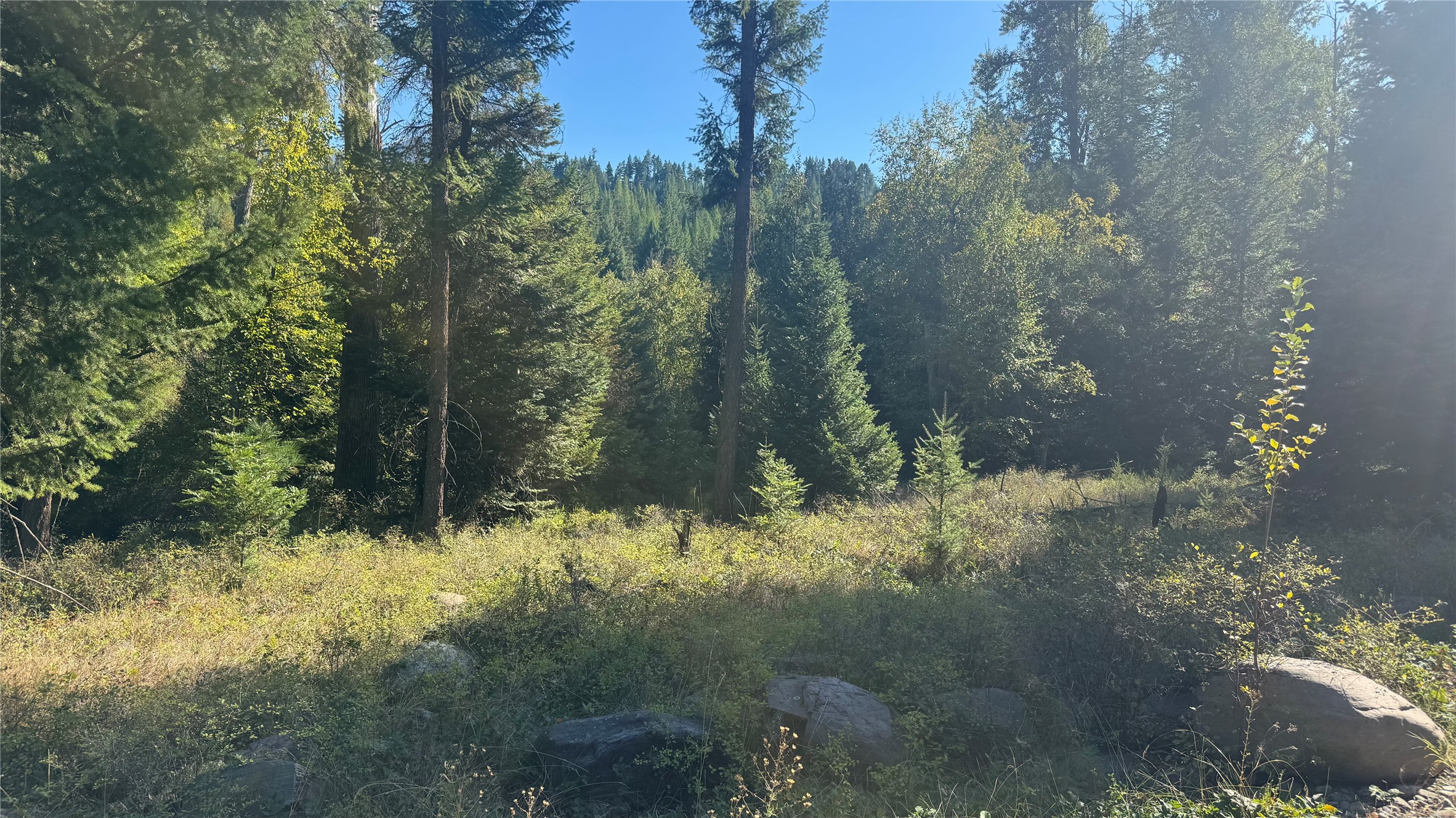 18731 Us Highway 2 Property Photo 18