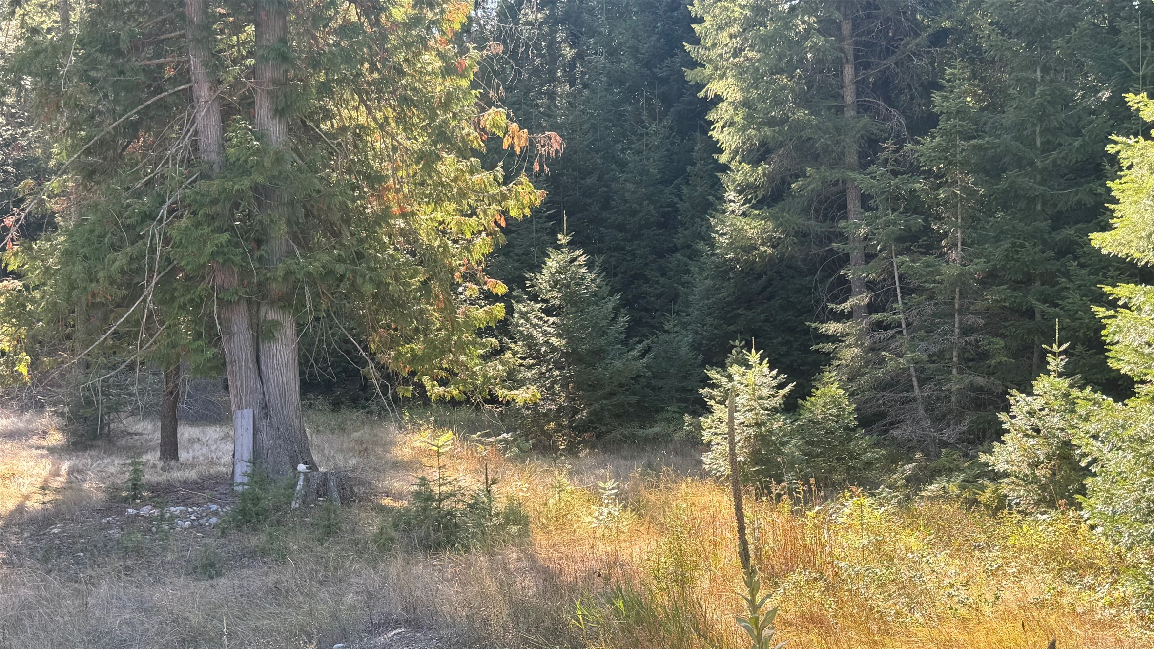 18731 Us Highway 2 Property Photo 20