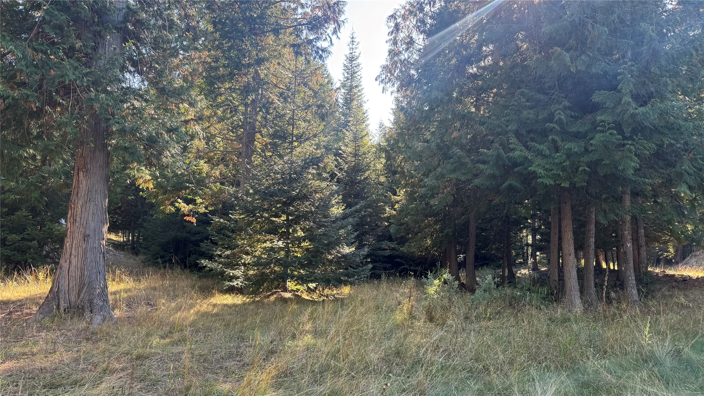 18731 Us Hwy 2 Property Photo 24