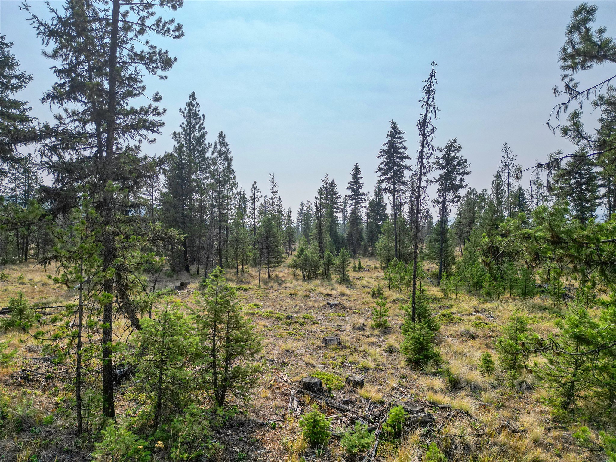 Lot 12 Klabo Drive Property Photo 14
