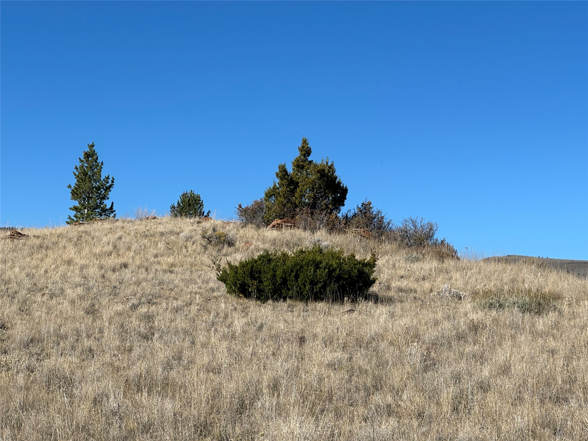 33 Deerfoot Trail Property Photo 9