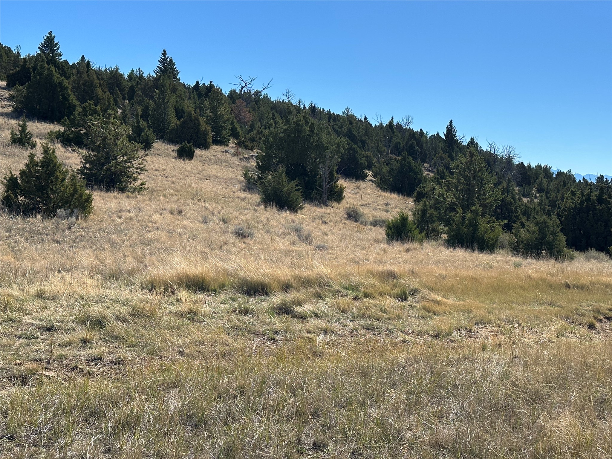 33 Deerfoot Trail Property Photo 11