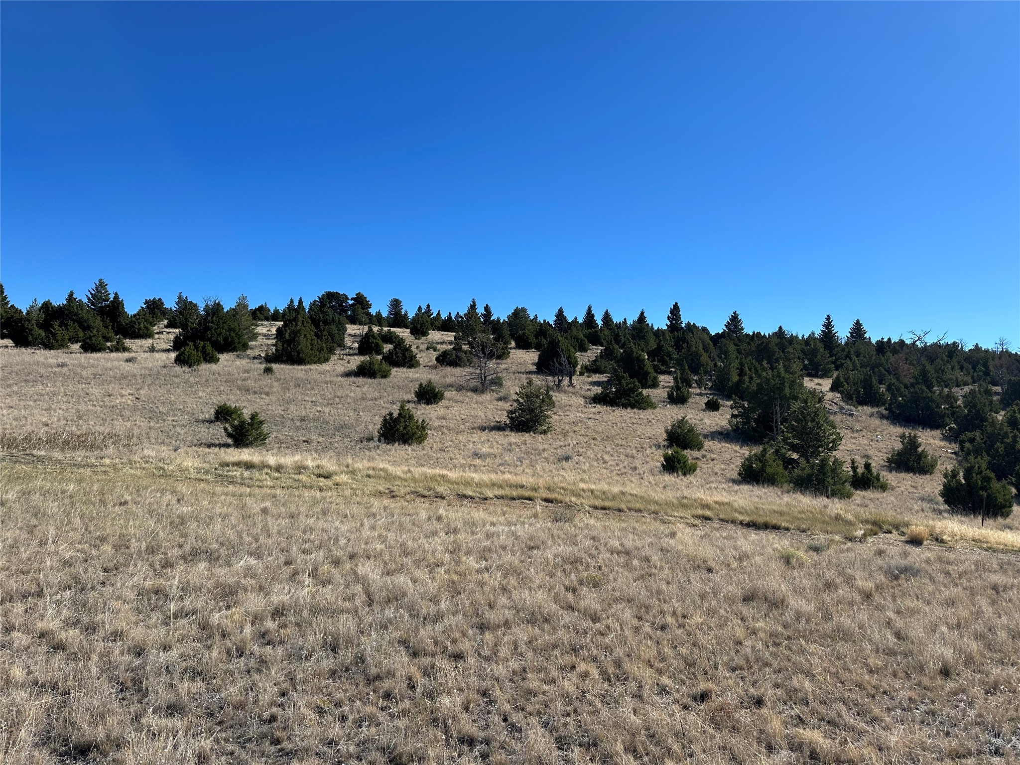 33 Deerfoot Trail Property Photo 15