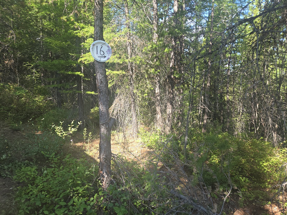 Lot 16 Nine Mile Road Property Photo 6