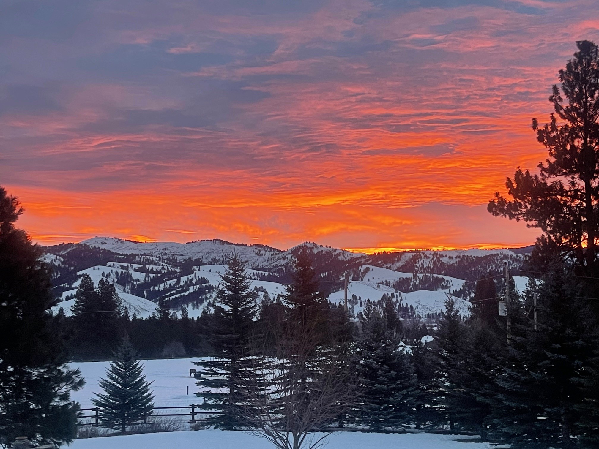 203 Hart Bench Road Property Photo 3