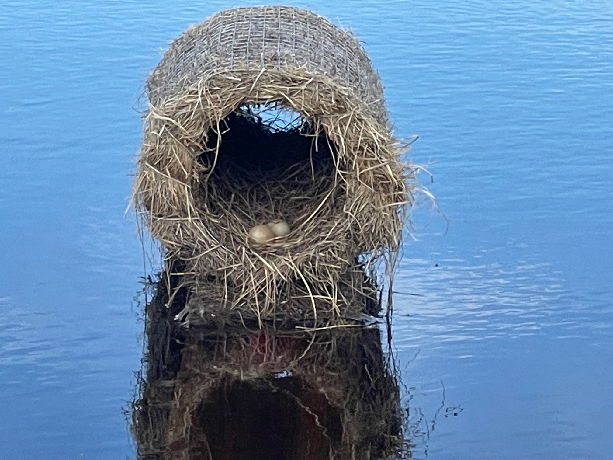 203 Hart Bench Road Property Photo 37