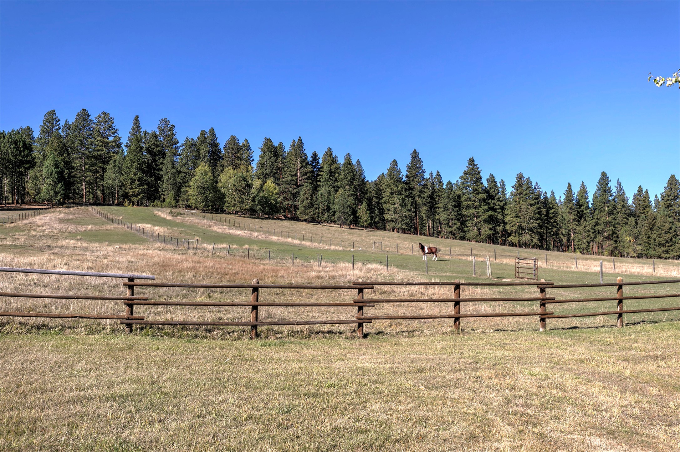 203 Hart Bench Road Property Photo 48