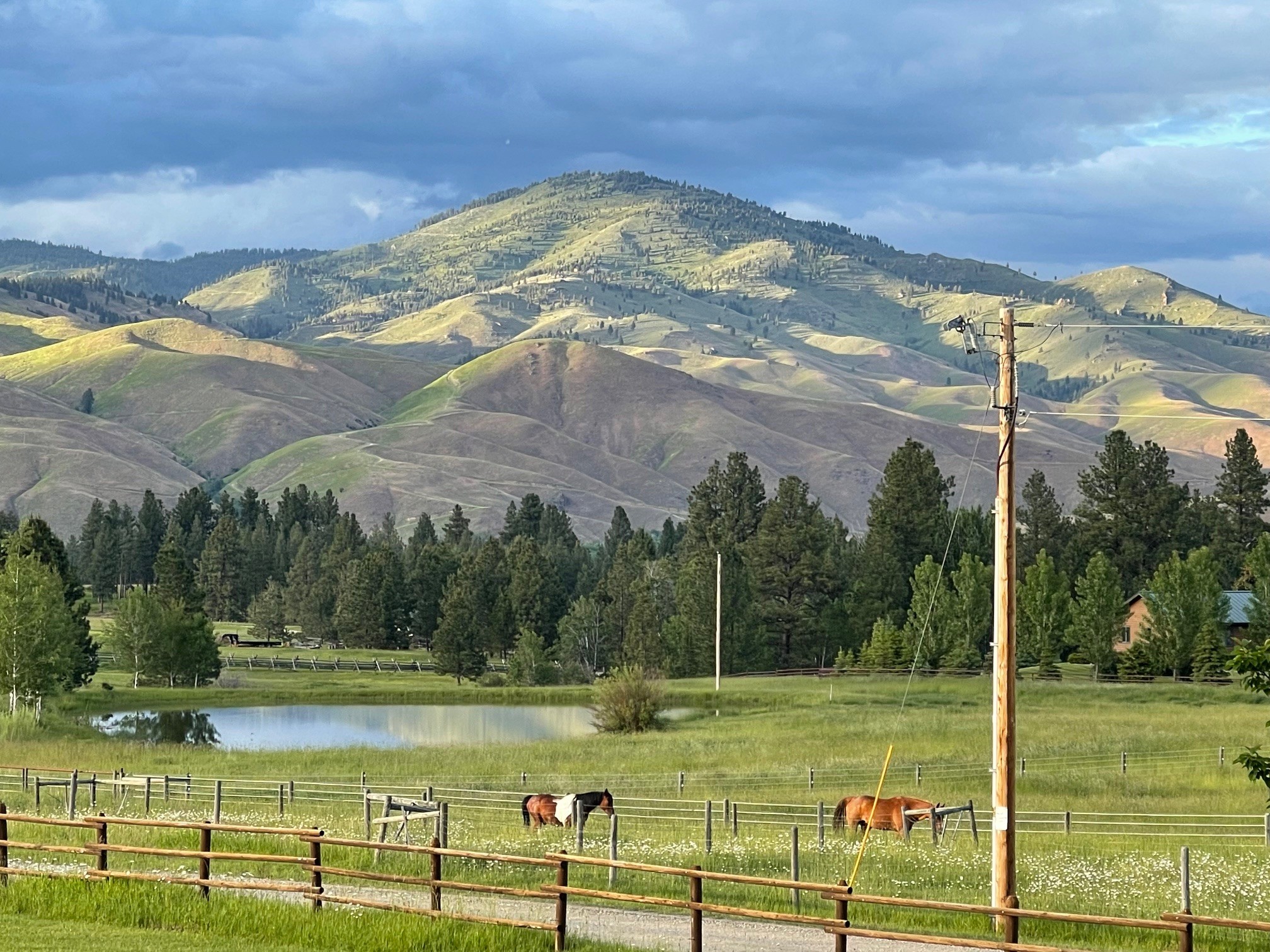 203 Hart Bench Road Property Photo 49