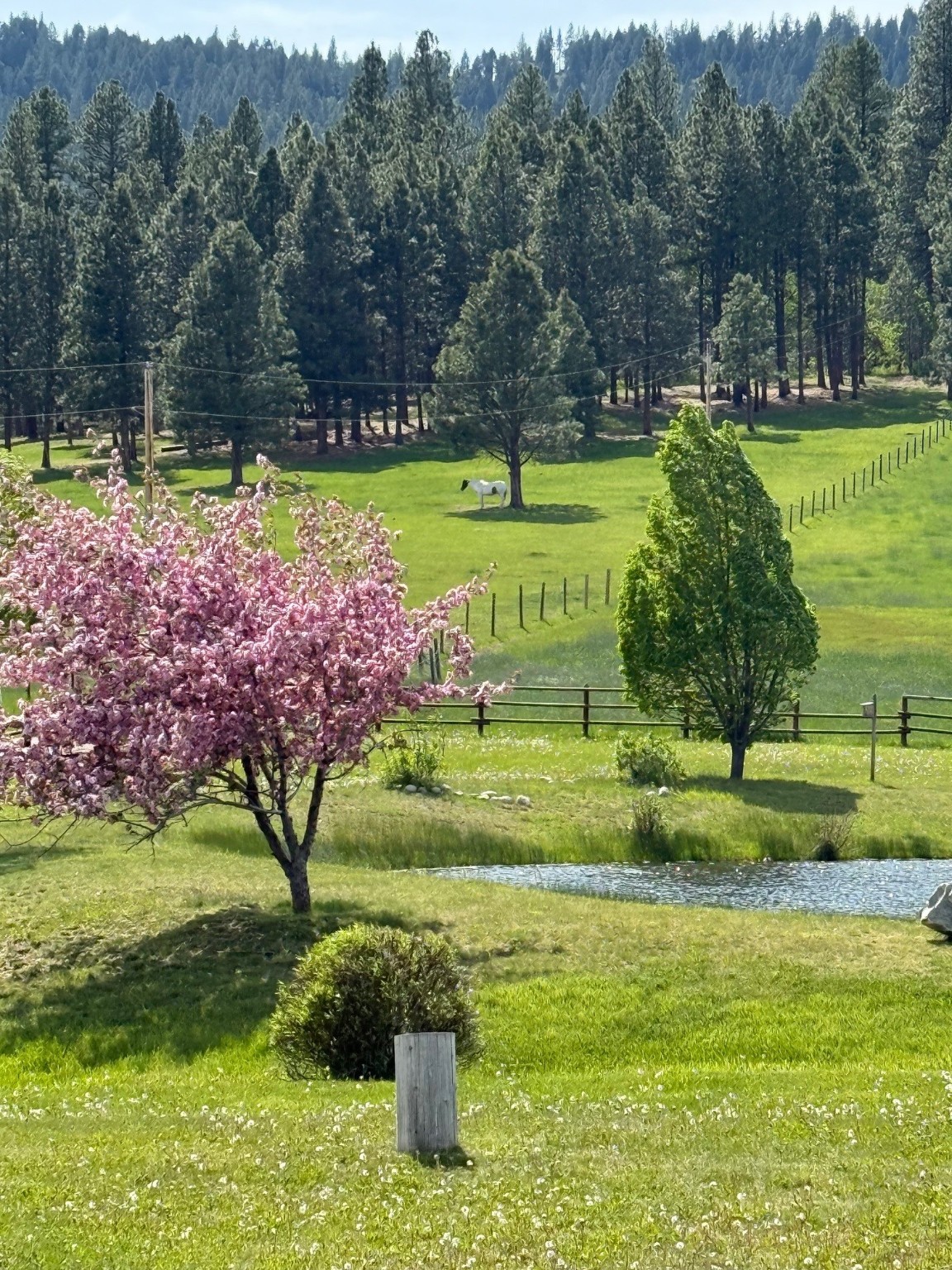 203 Hart Bench Road Property Photo 50