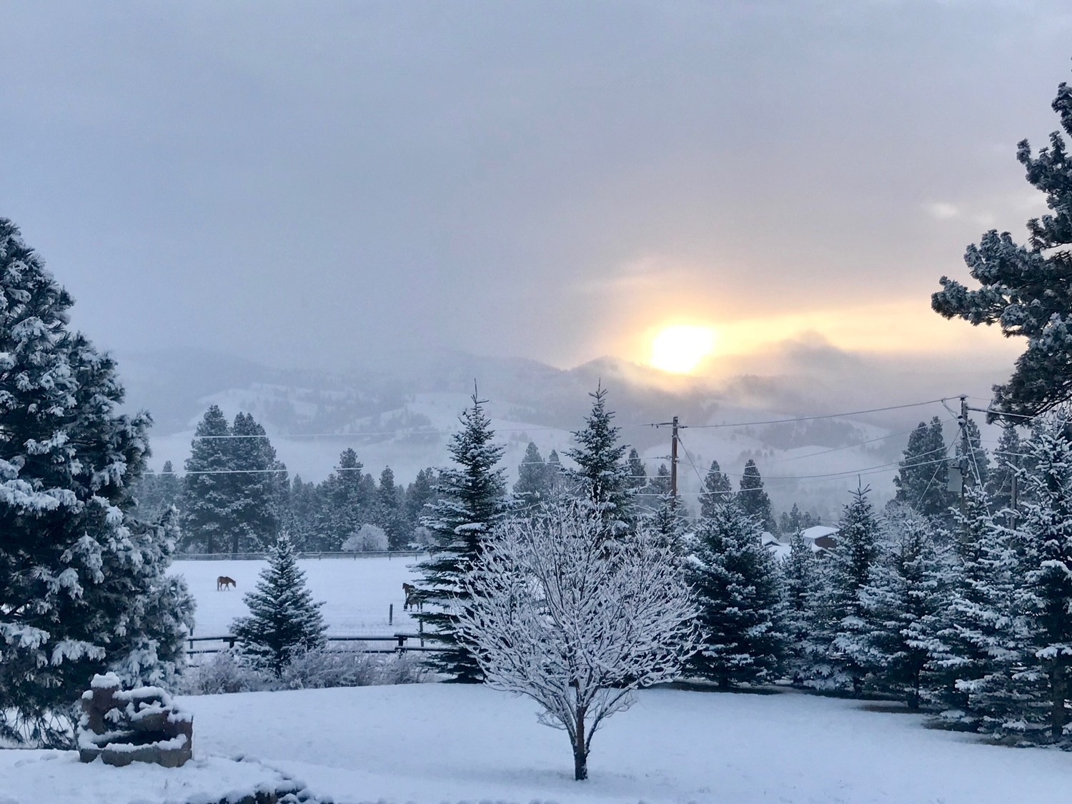 203 Hart Bench Road Property Photo 51