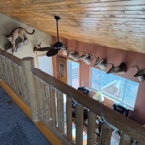 21 Ryan Road Property Photo 21