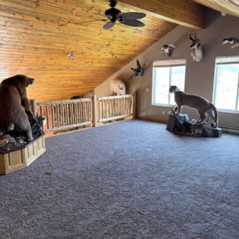 21 Ryan Road Property Photo 27