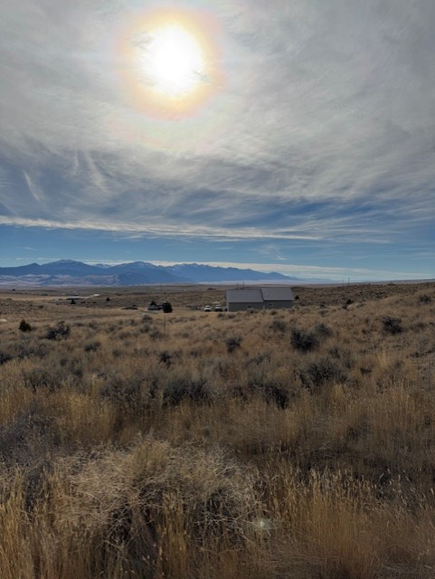 21 Ryan Road Property Photo 42