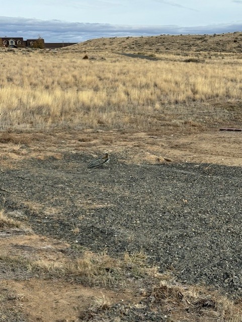 21 Ryan Road Property Photo 45