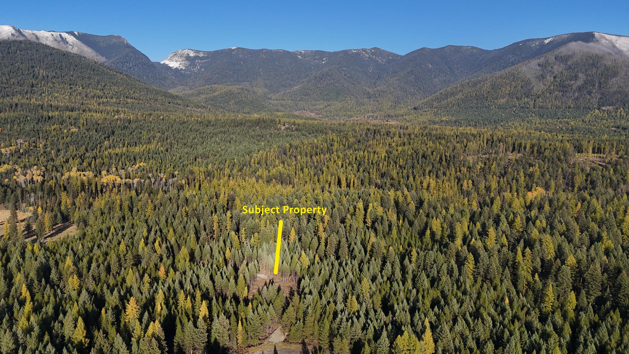 209 Turtle Trail Property Photo 5