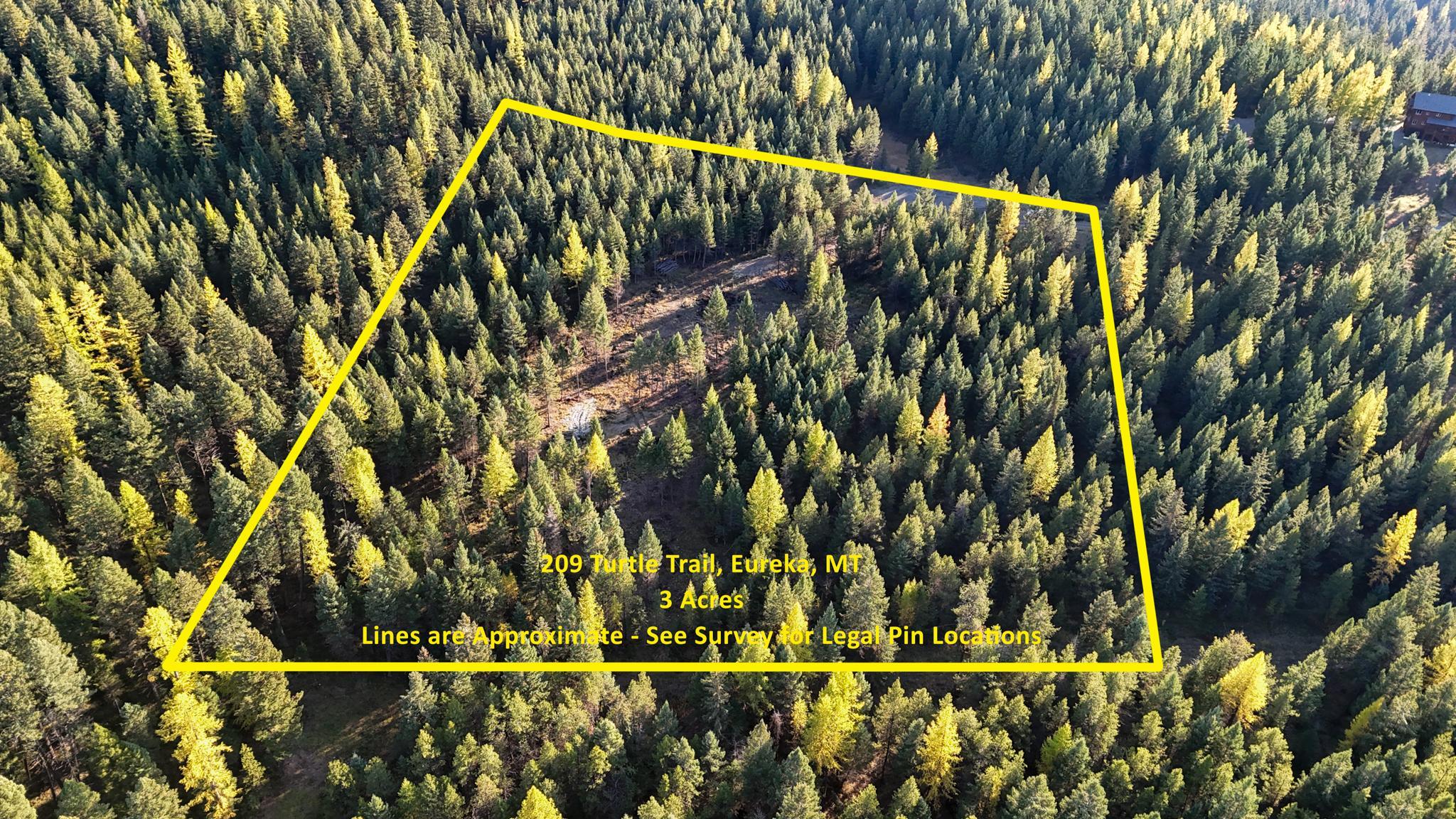 209 Turtle Trail Property Photo 6