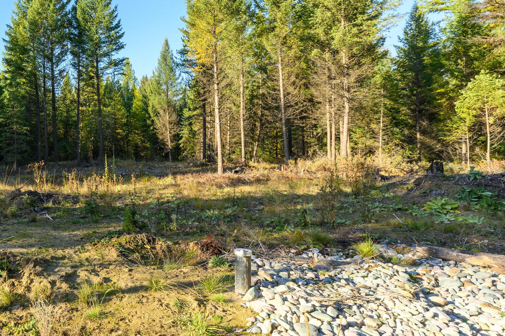 209 Turtle Trail Property Photo 8