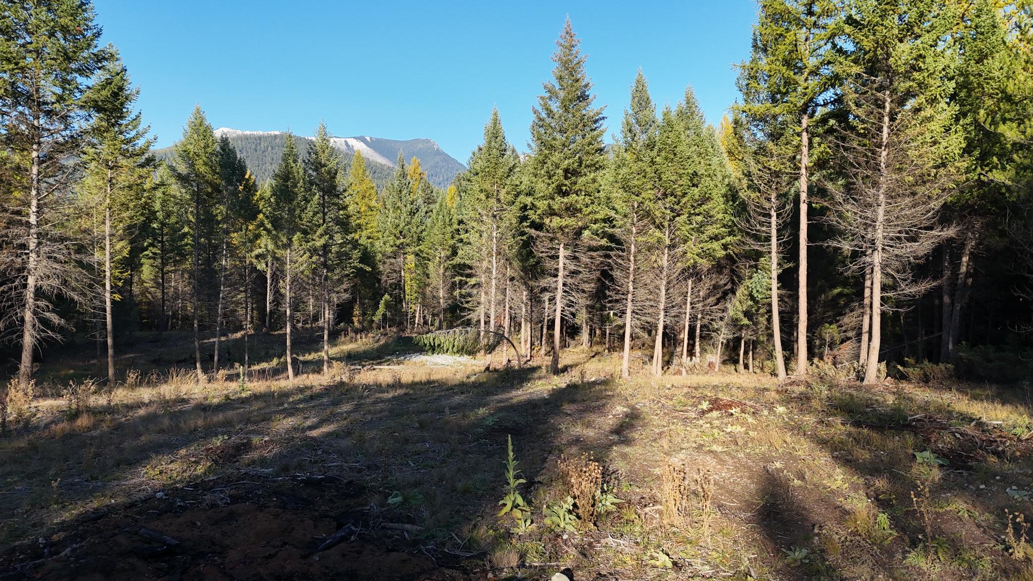 209 Turtle Trail Property Photo 10