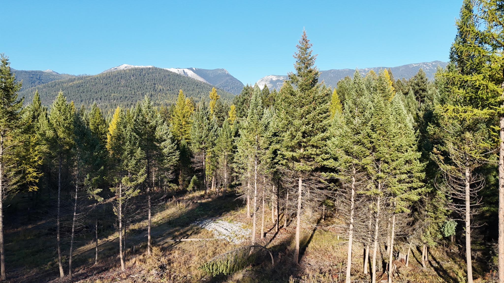 209 Turtle Trail Property Photo 11