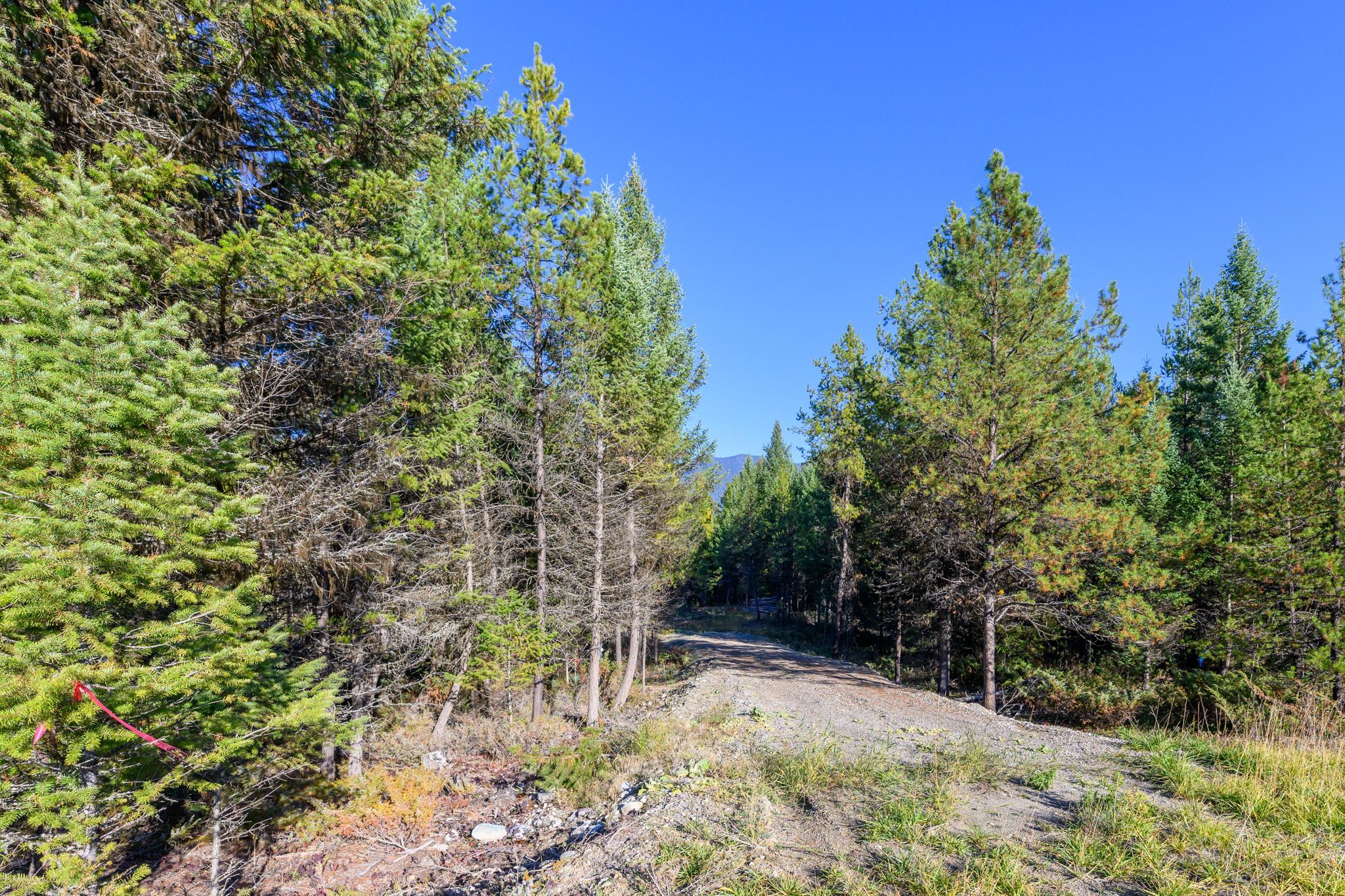 209 Turtle Trail Property Photo 16