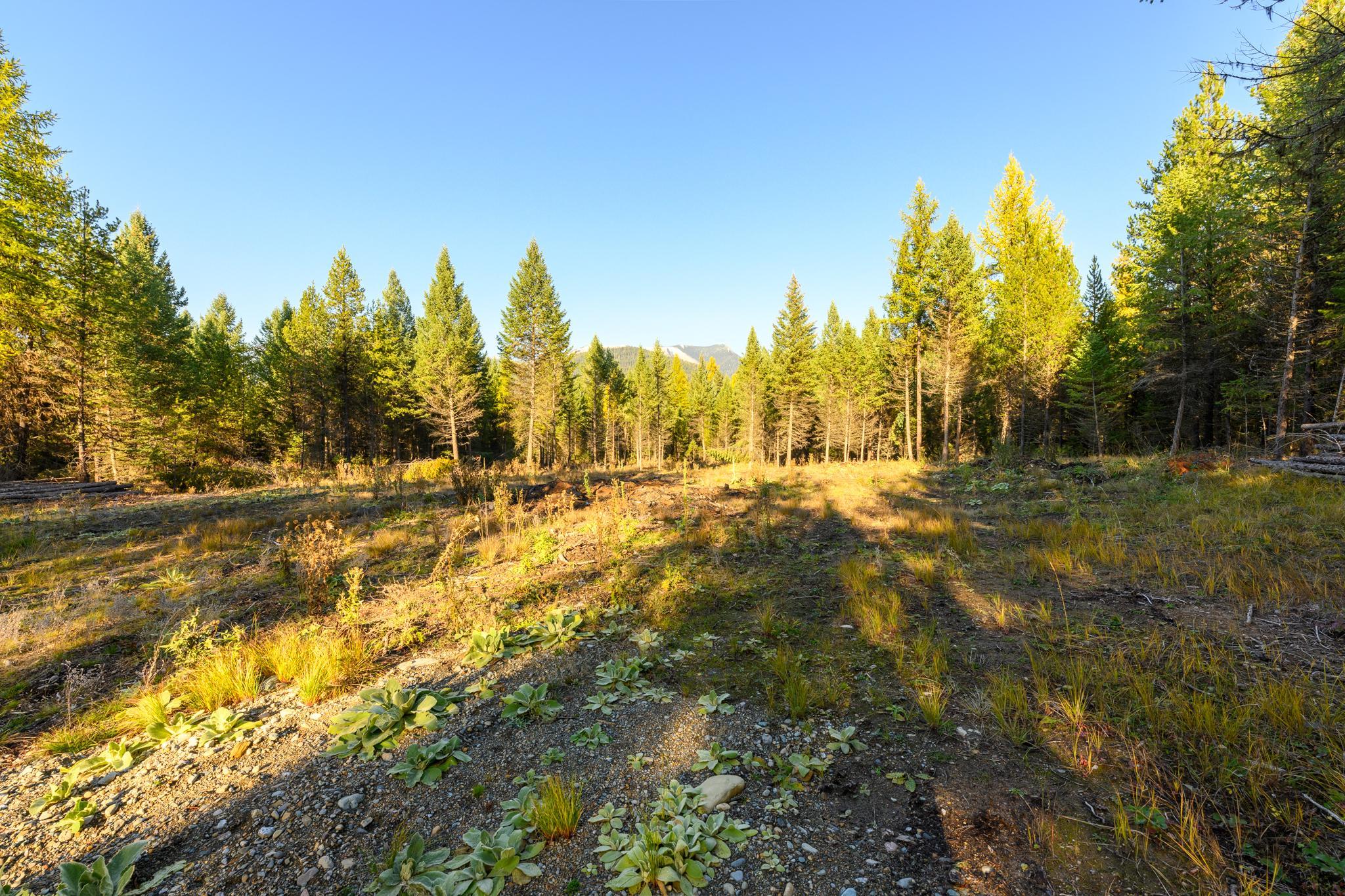 209 Turtle Trail Property Photo 18