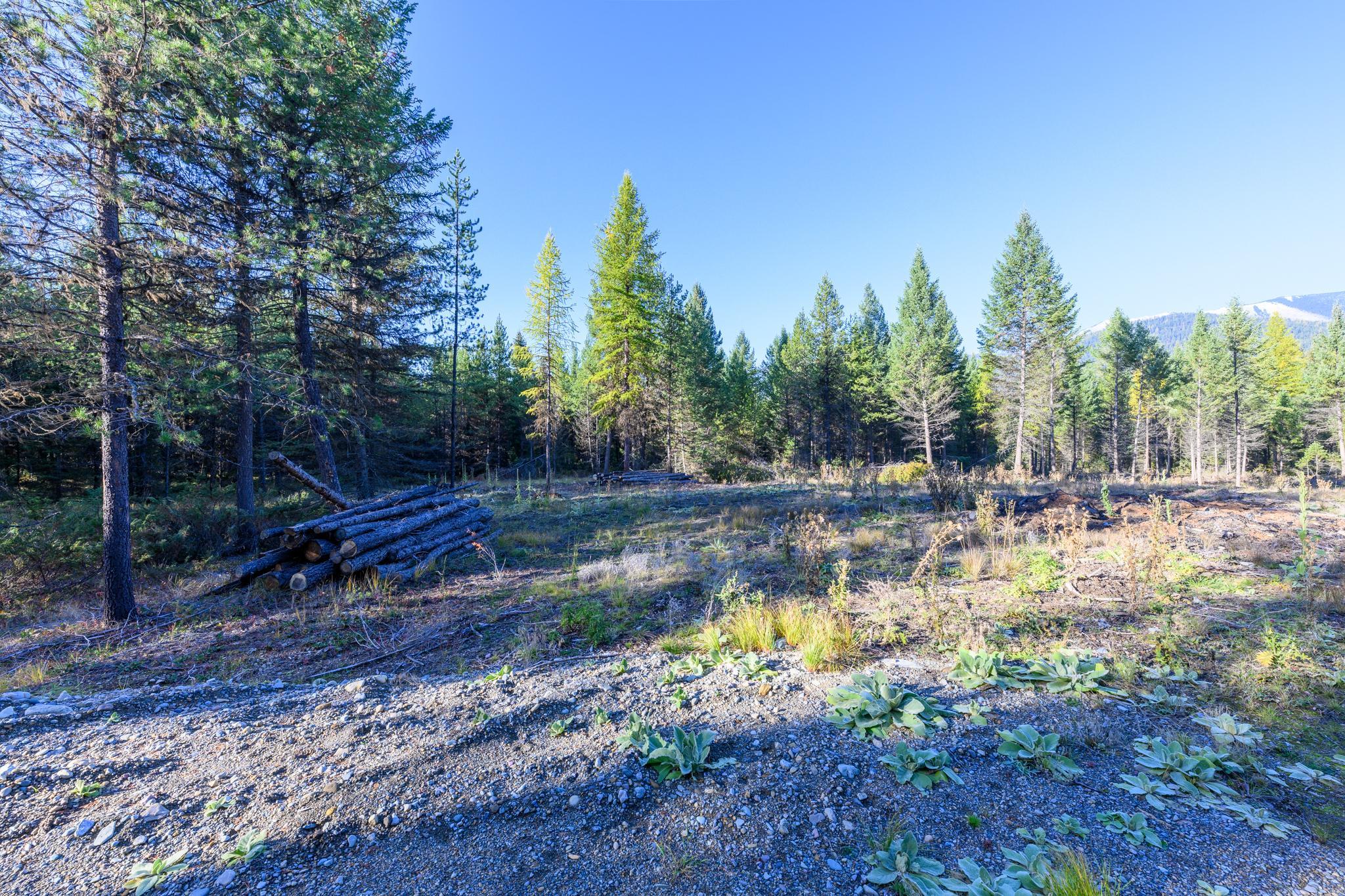 209 Turtle Trail Property Photo 19