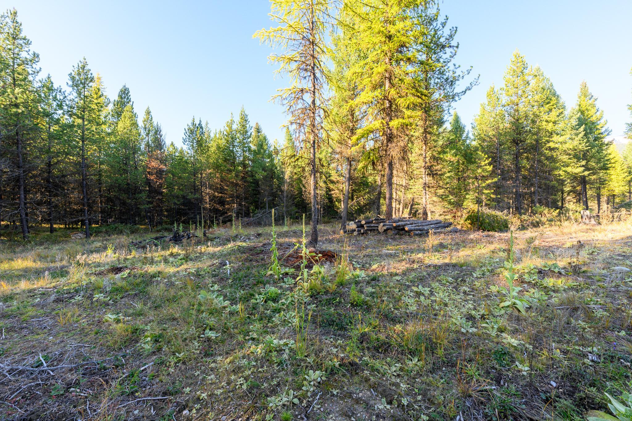 209 Turtle Trail Property Photo 21