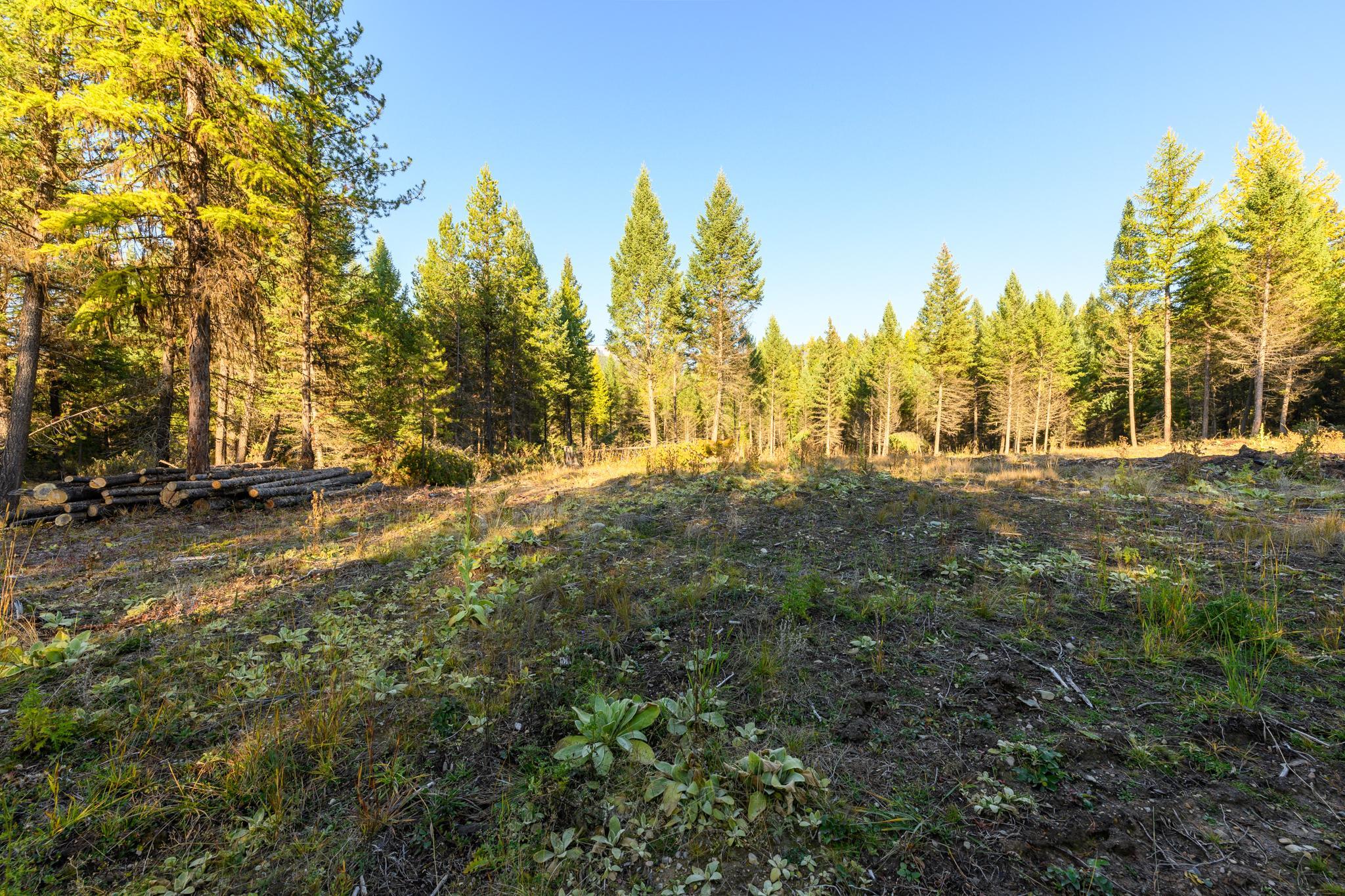 209 Turtle Trail Property Photo 22