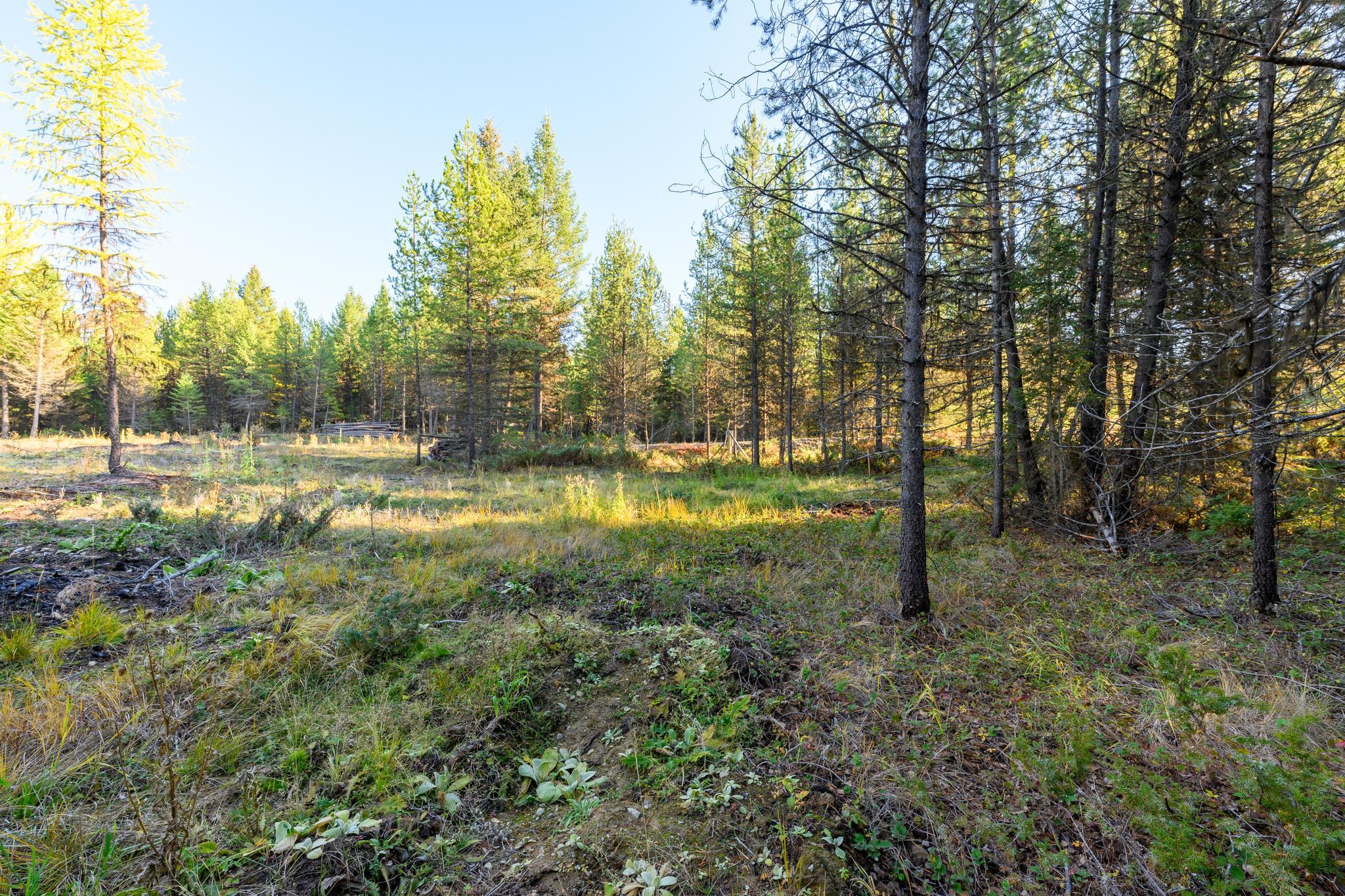 209 Turtle Trail Property Photo 23