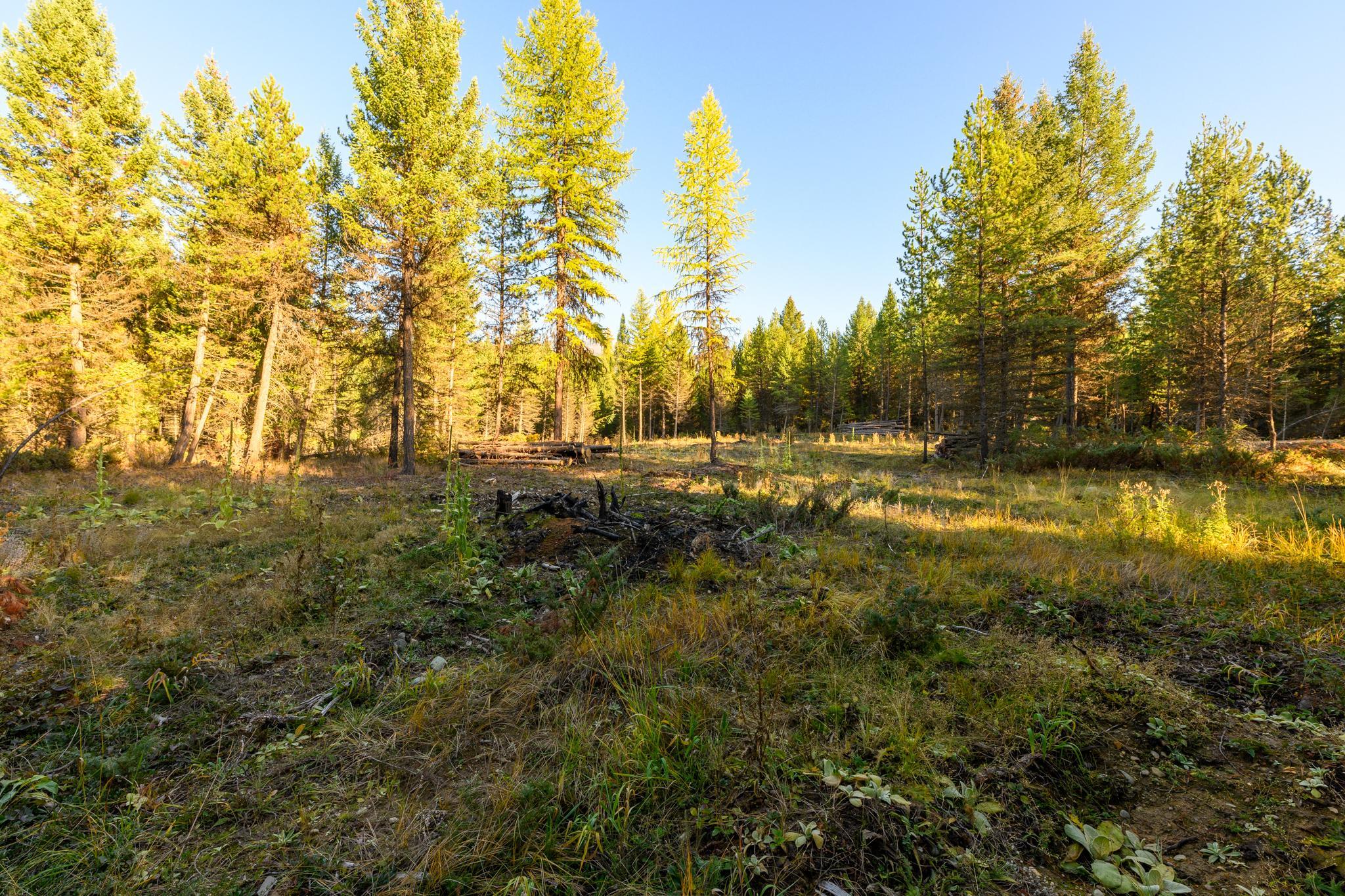 209 Turtle Trail Property Photo 24