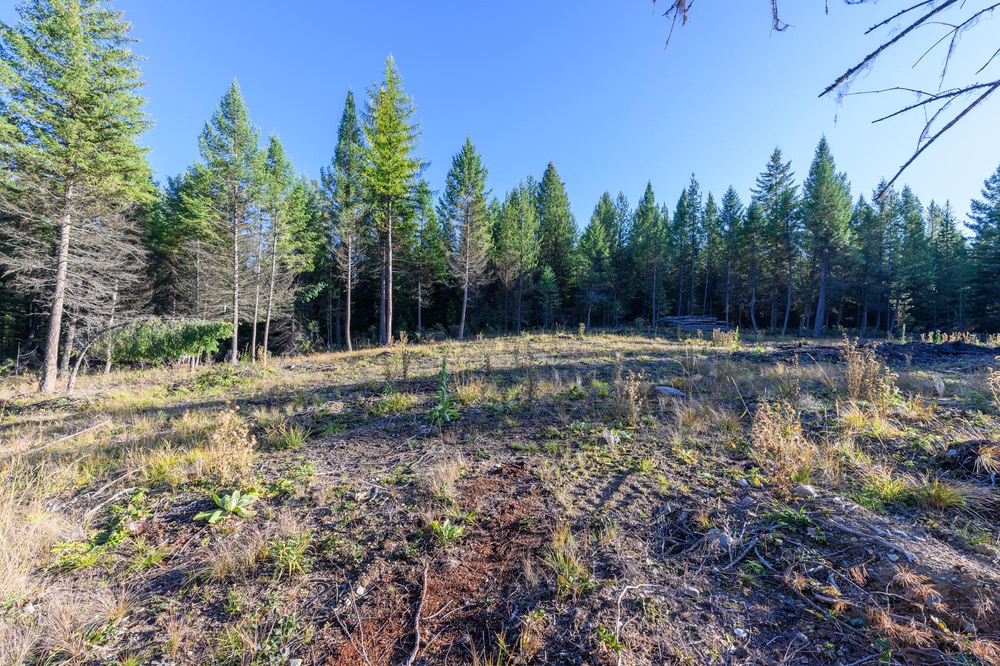 209 Turtle Trail Property Photo 25