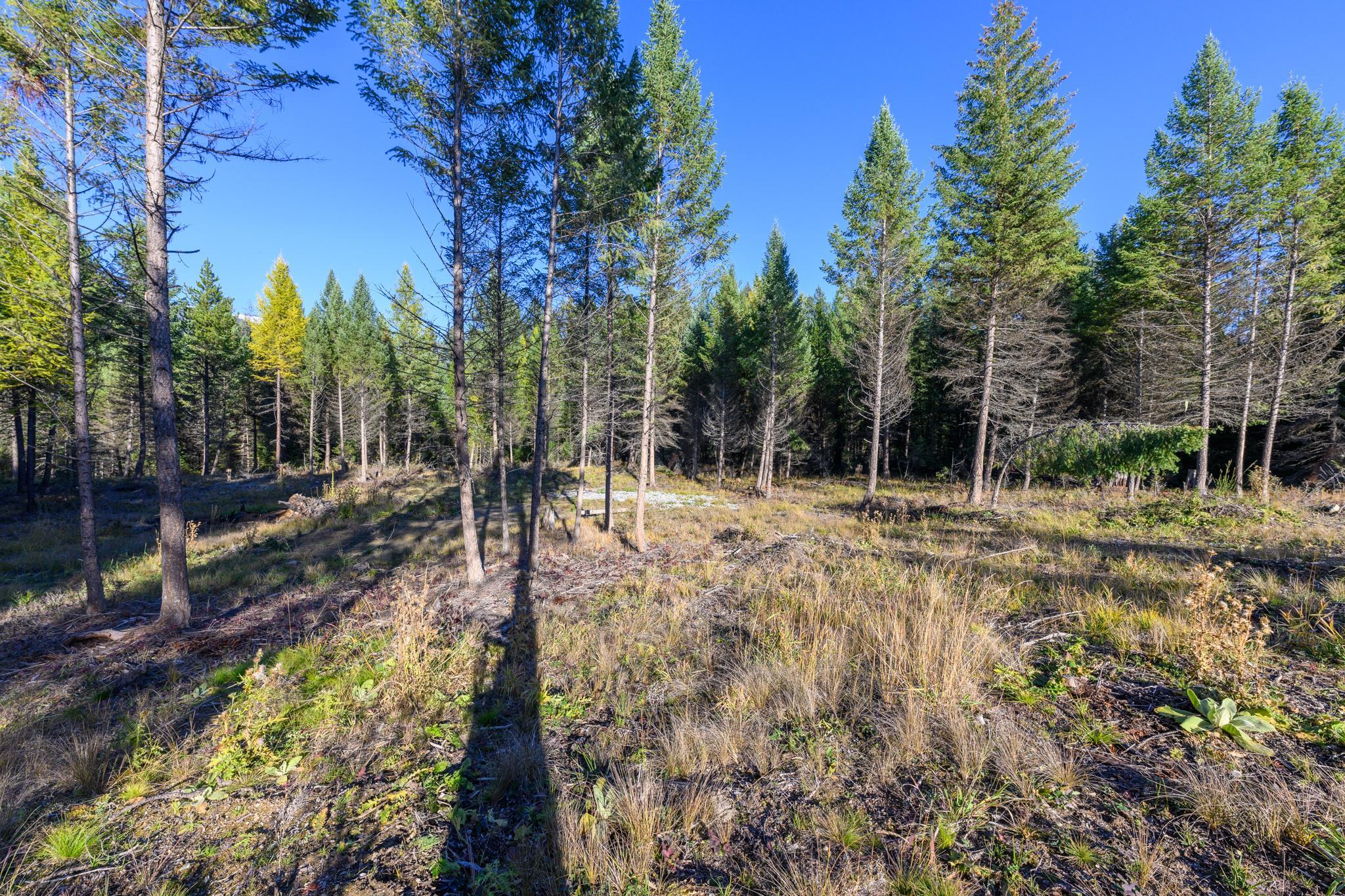 209 Turtle Trail Property Photo 26