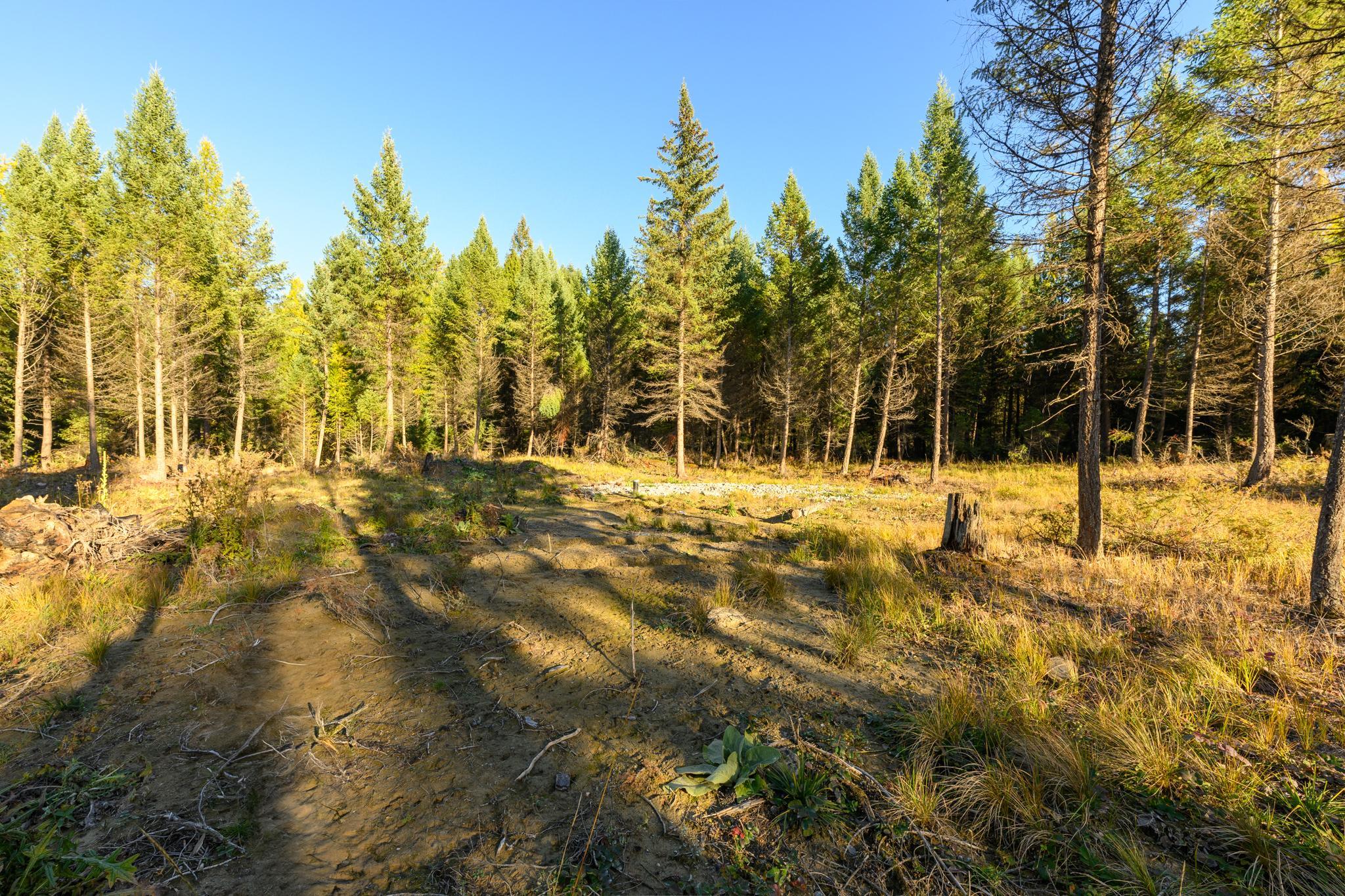209 Turtle Trail Property Photo 28