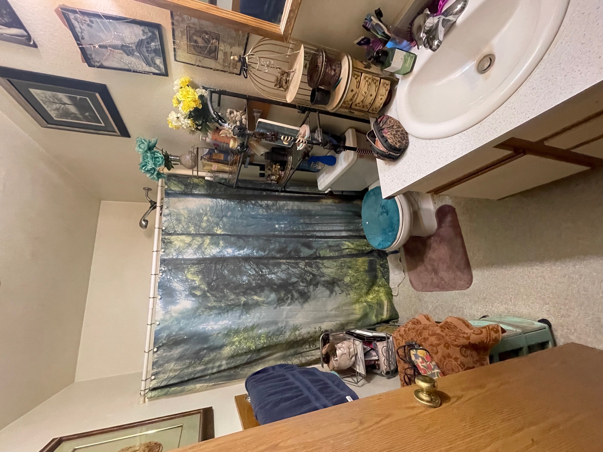 117 Tyler Way Property Photo 30