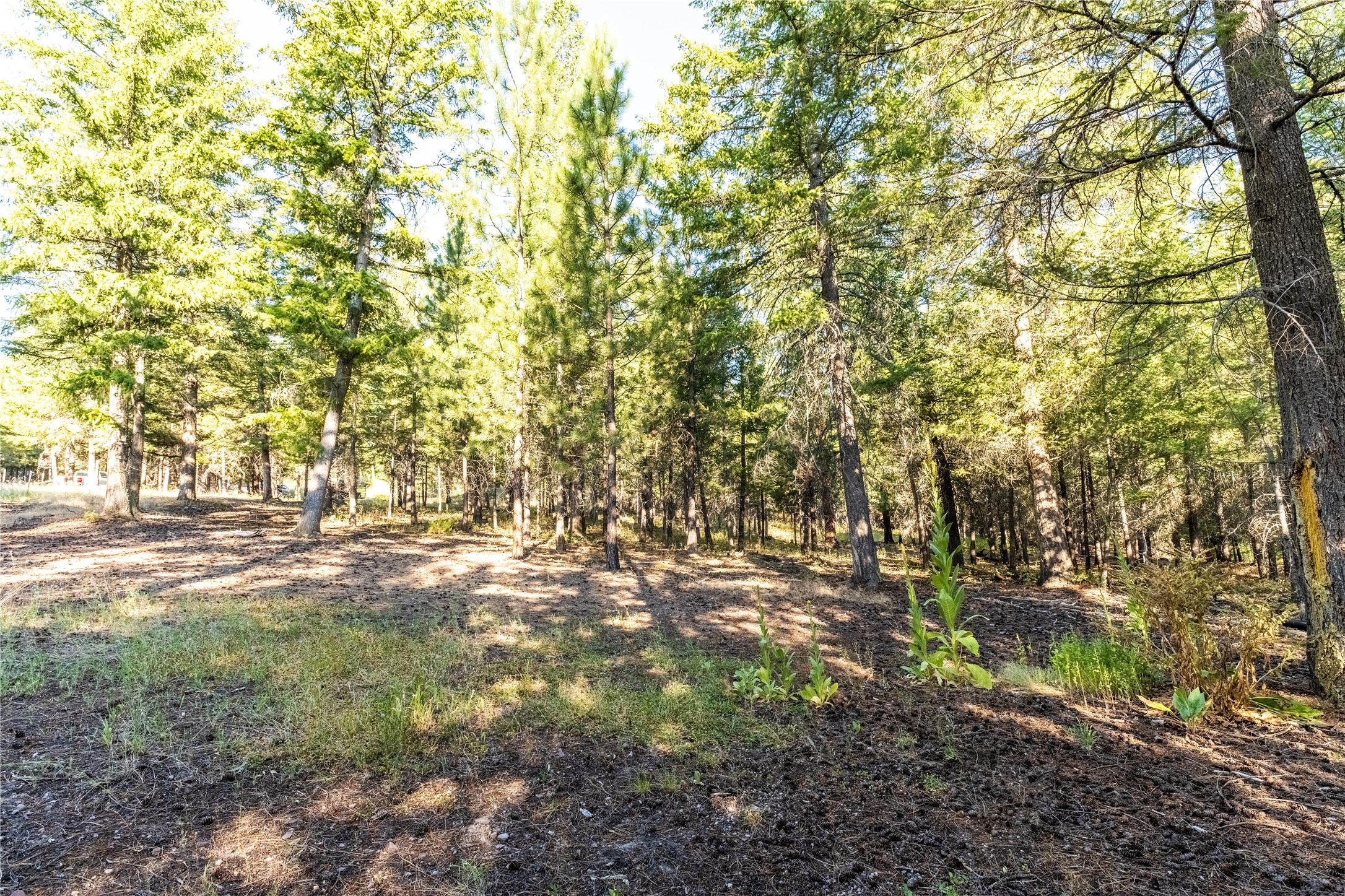 14297 Caddisfly Court Property Photo 3