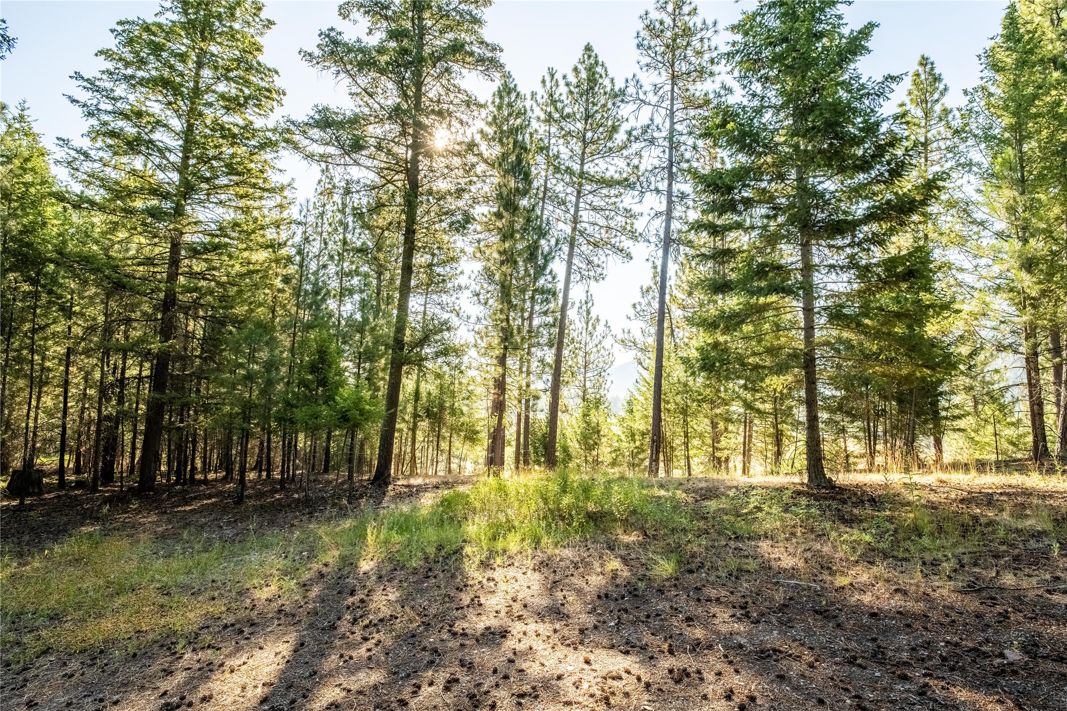 14297 Caddisfly Court Property Photo 4
