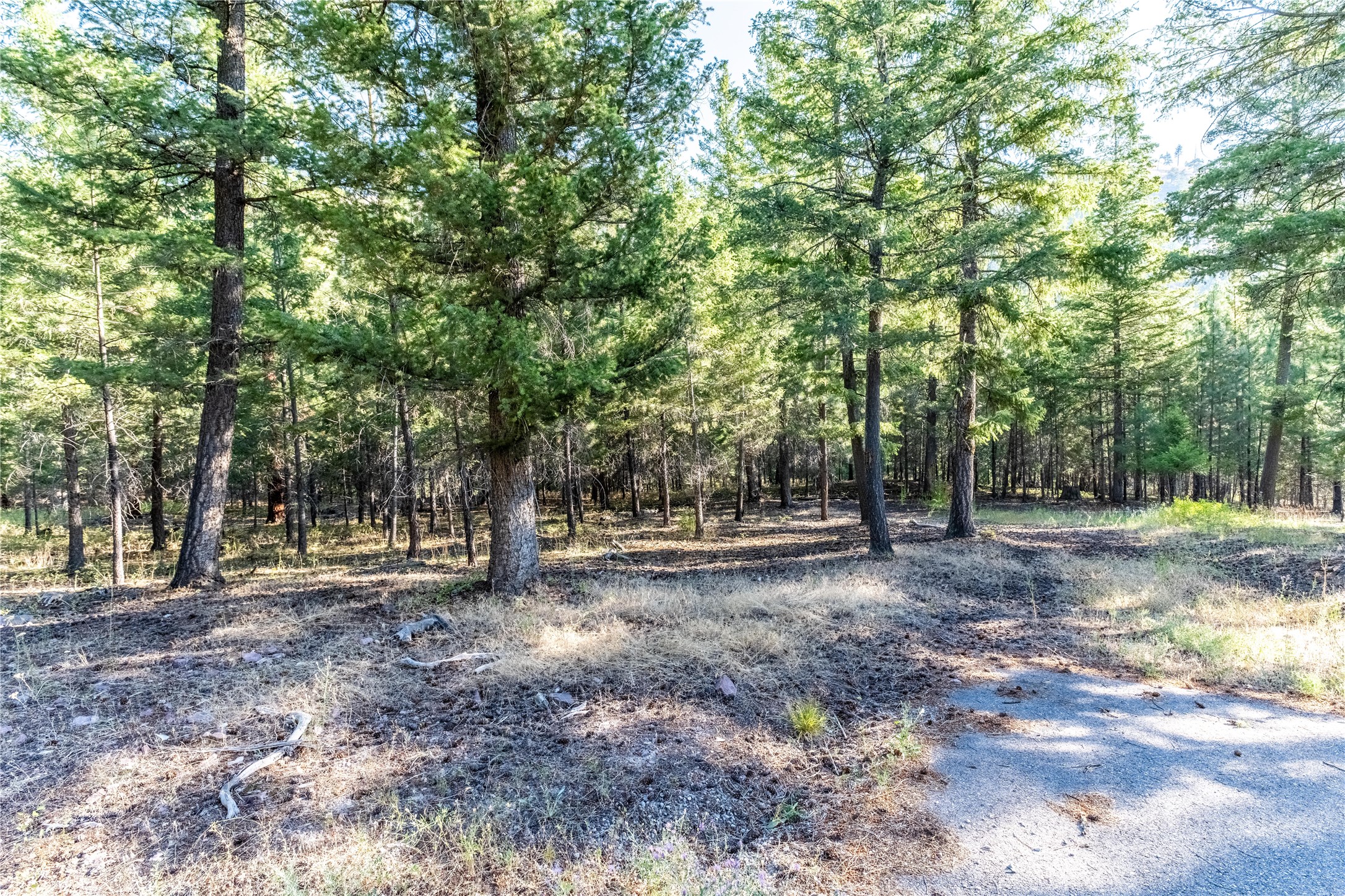 14297 Caddisfly Court Property Photo 6