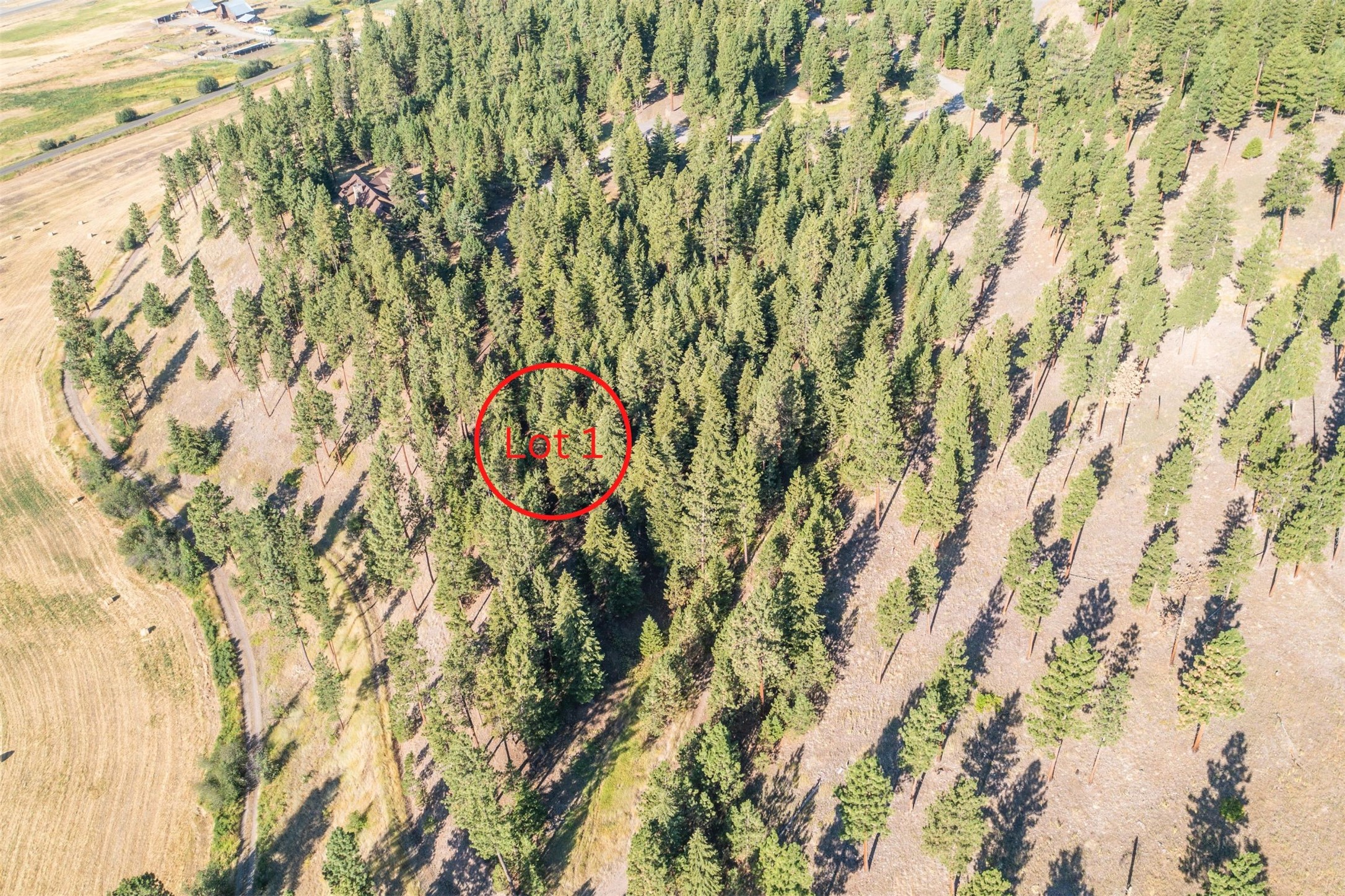 14297 Caddisfly Court Property Photo 12