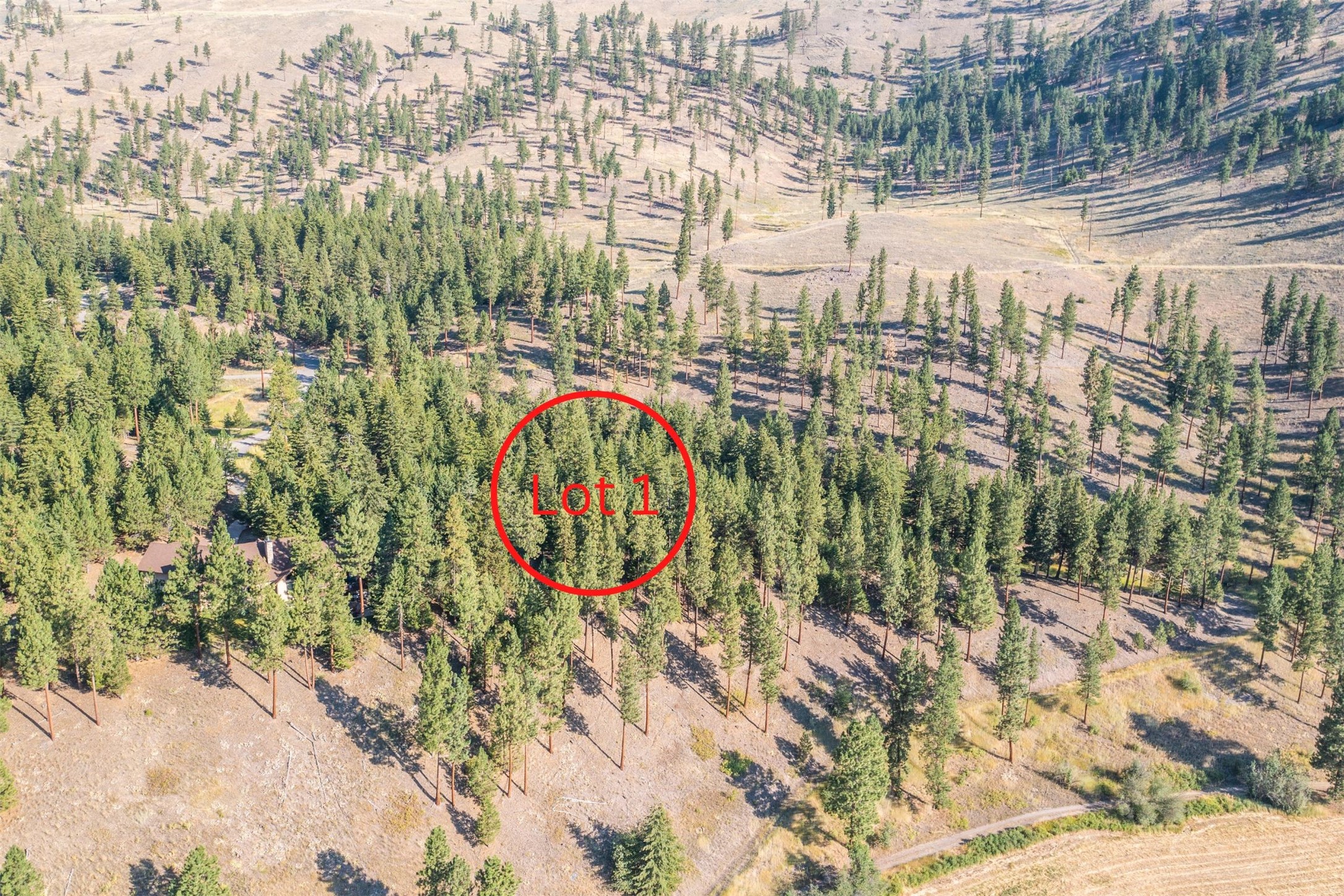 14297 Caddisfly Court Property Photo 13