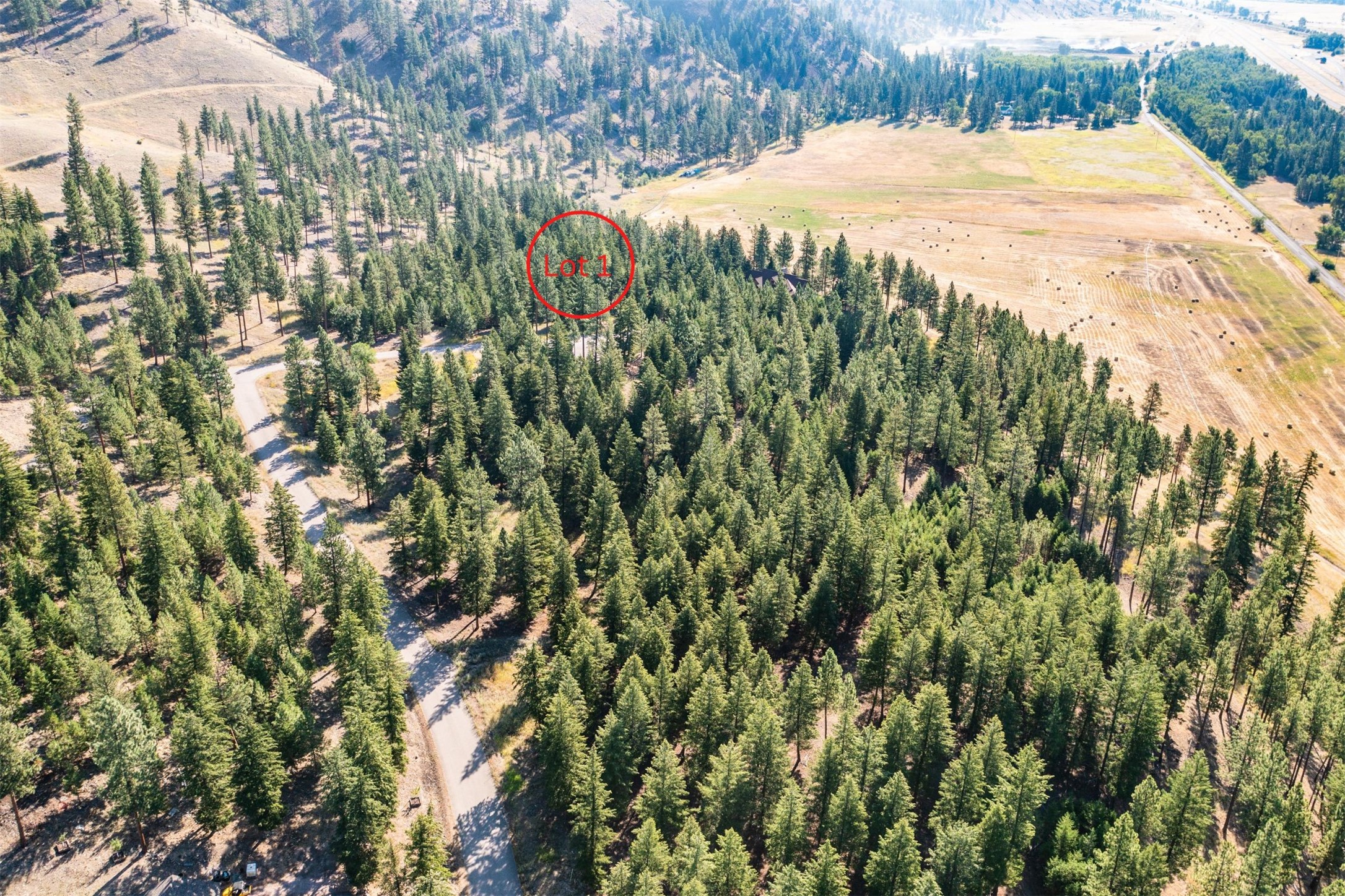 14297 Caddisfly Court Property Photo 14