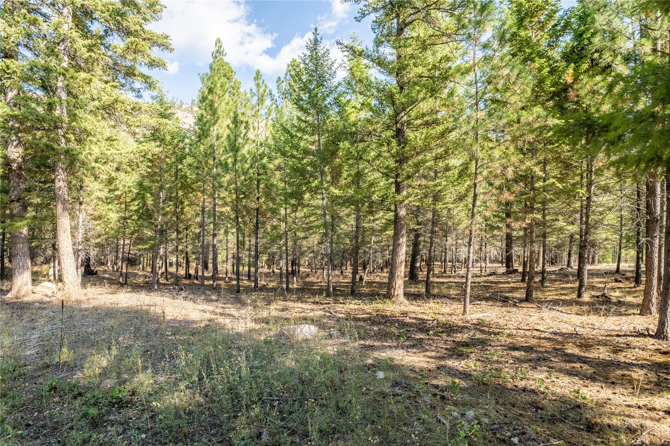Lot 2 Caddisfly Court Property Photo 5