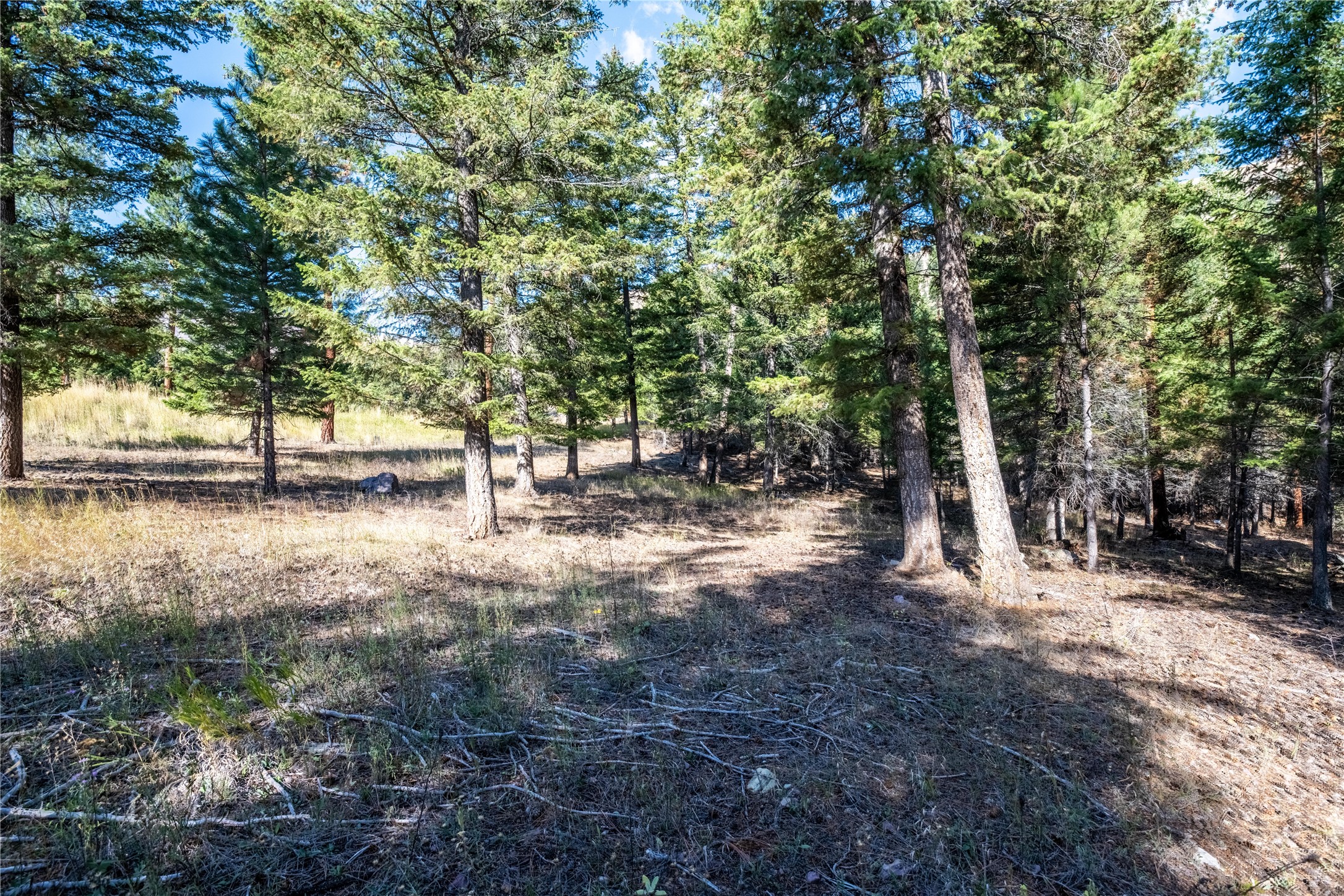 Lot 2 Caddisfly Court Property Photo 6