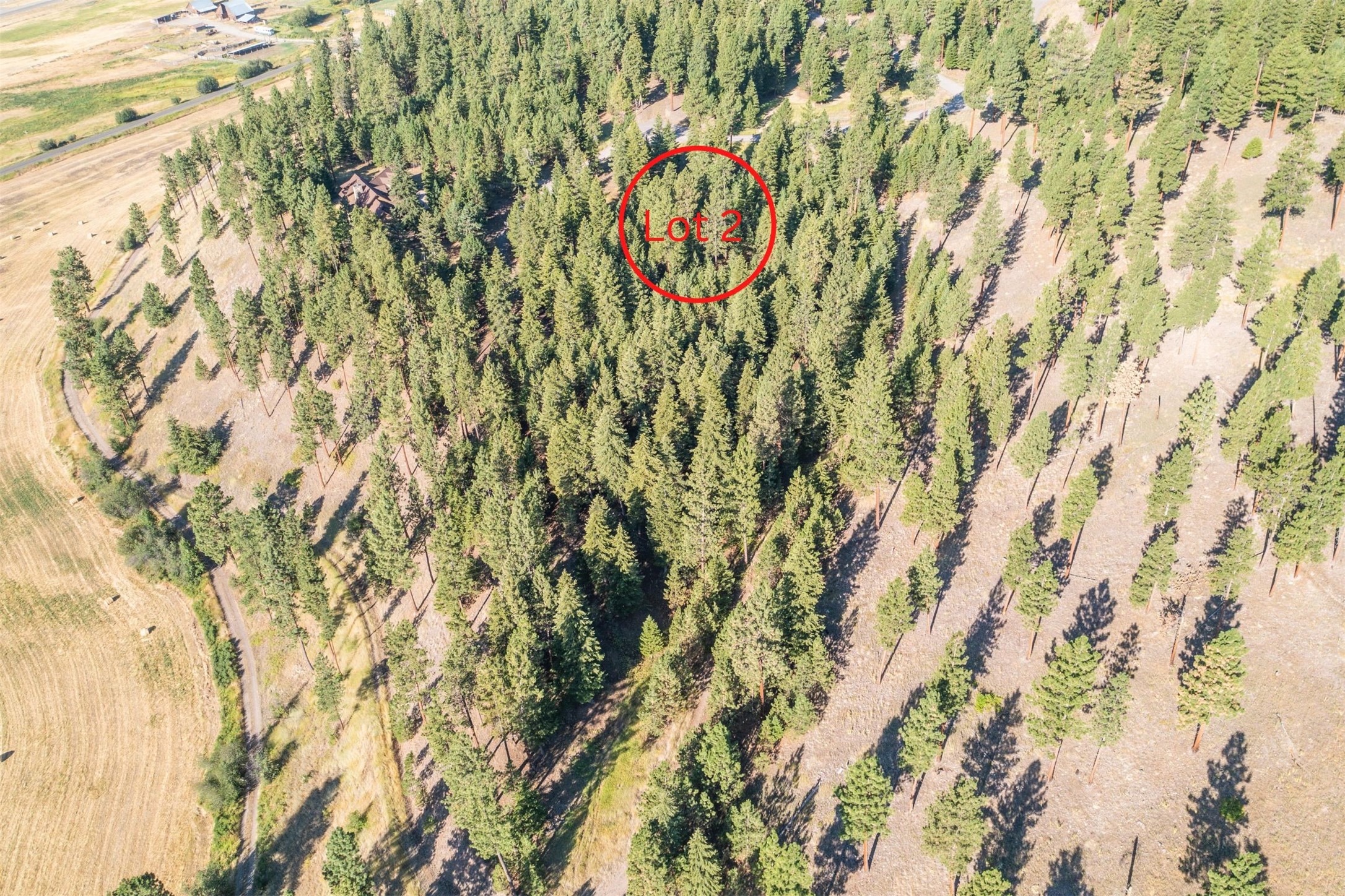 Lot 2 Caddisfly Court Property Photo 8