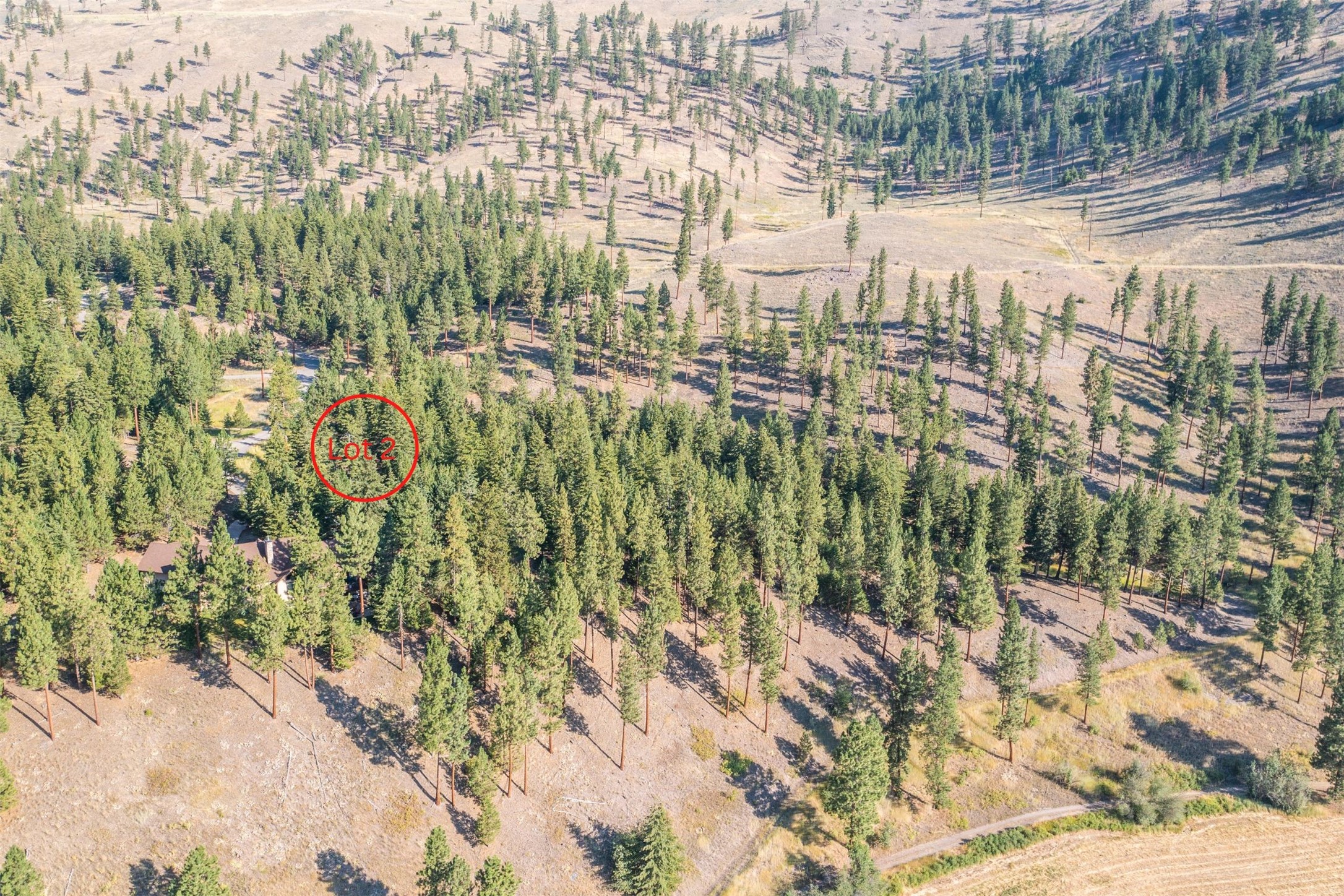 Lot 2 Caddisfly Court Property Photo 9
