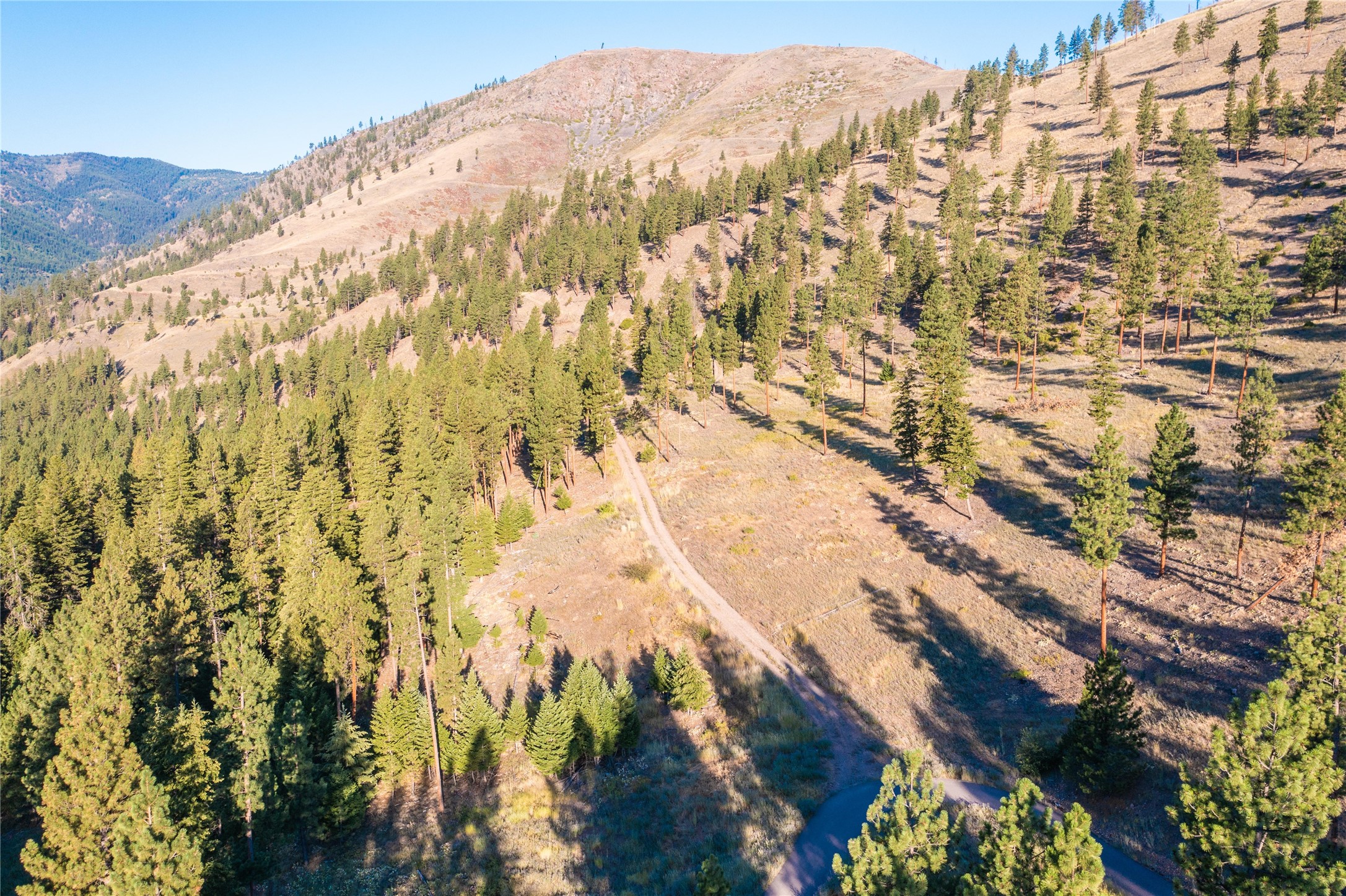 Lot 2 Caddisfly Court Property Photo 14