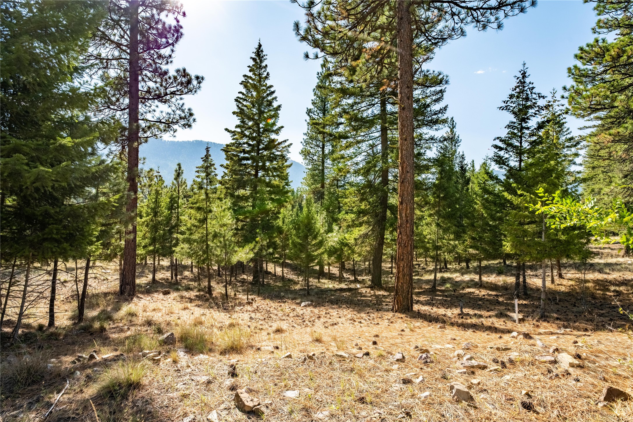 Lot 9 Stonefly Road Property Photo 3