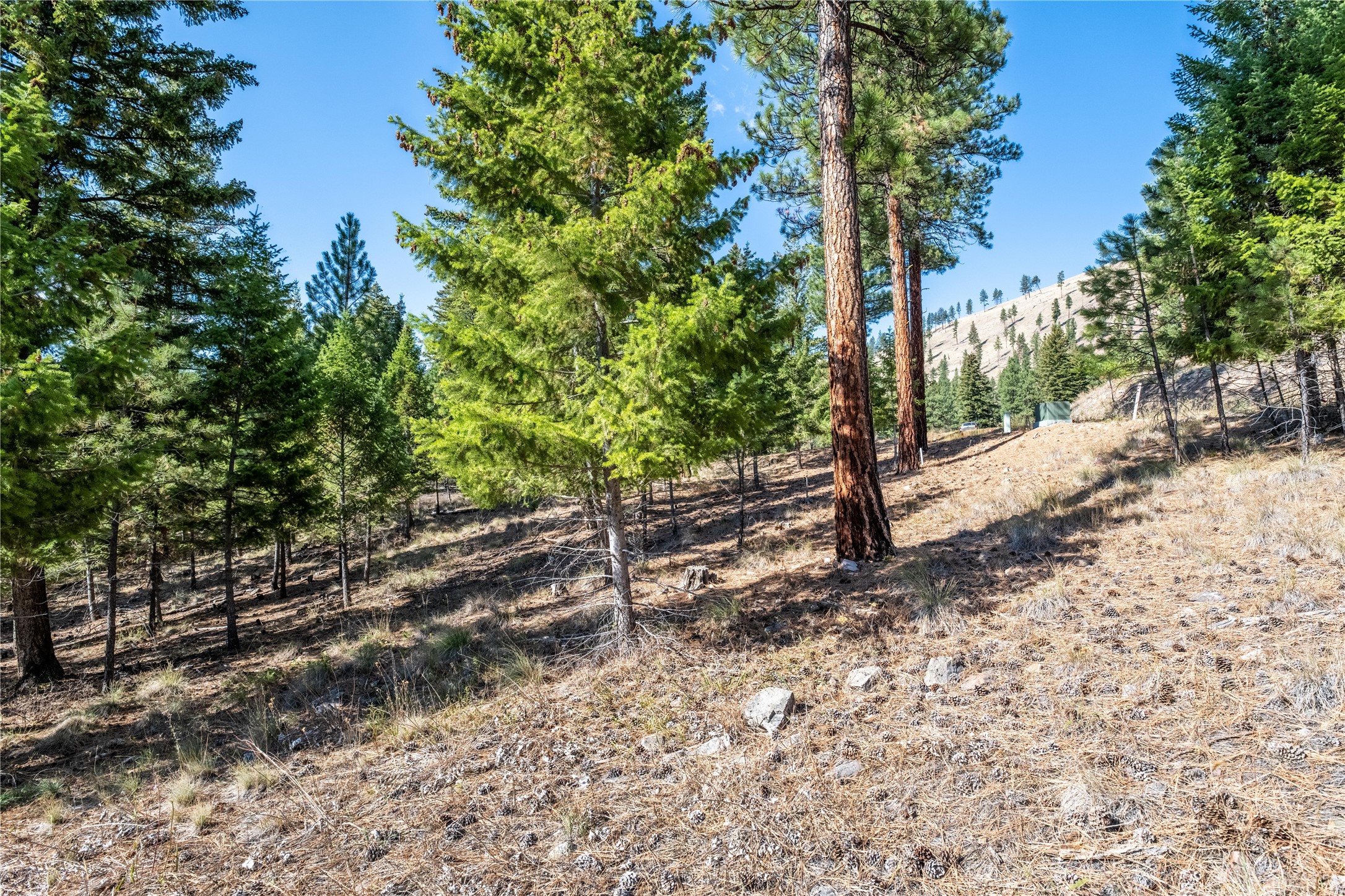 Lot 9 Stonefly Road Property Photo 4