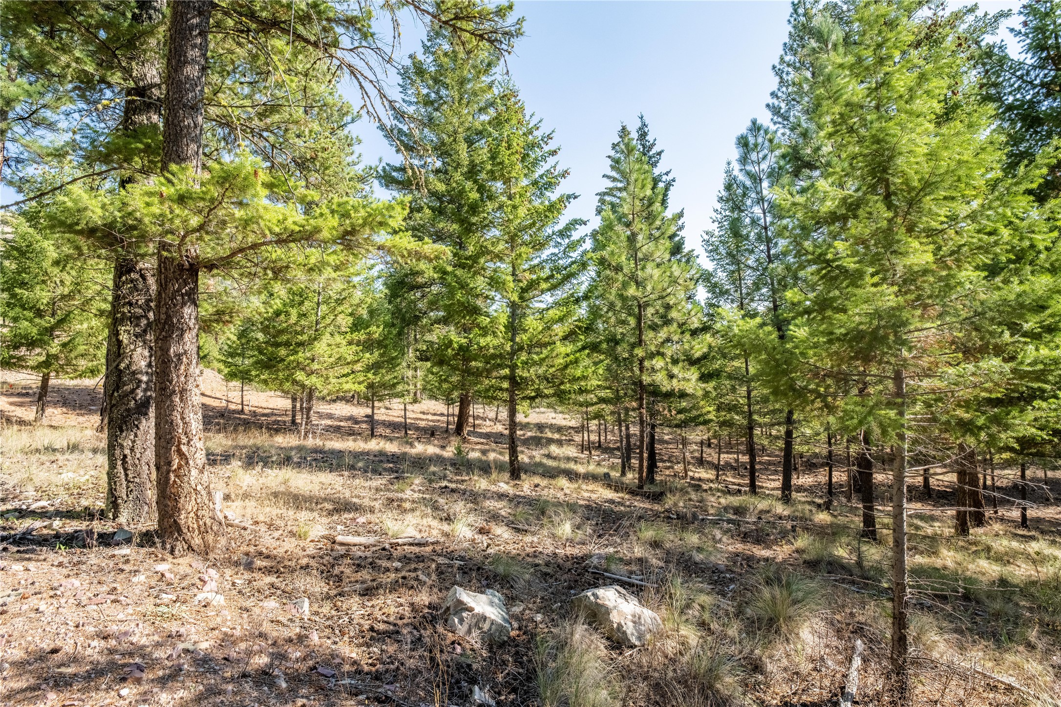 Lot 9 Stonefly Road Property Photo 5