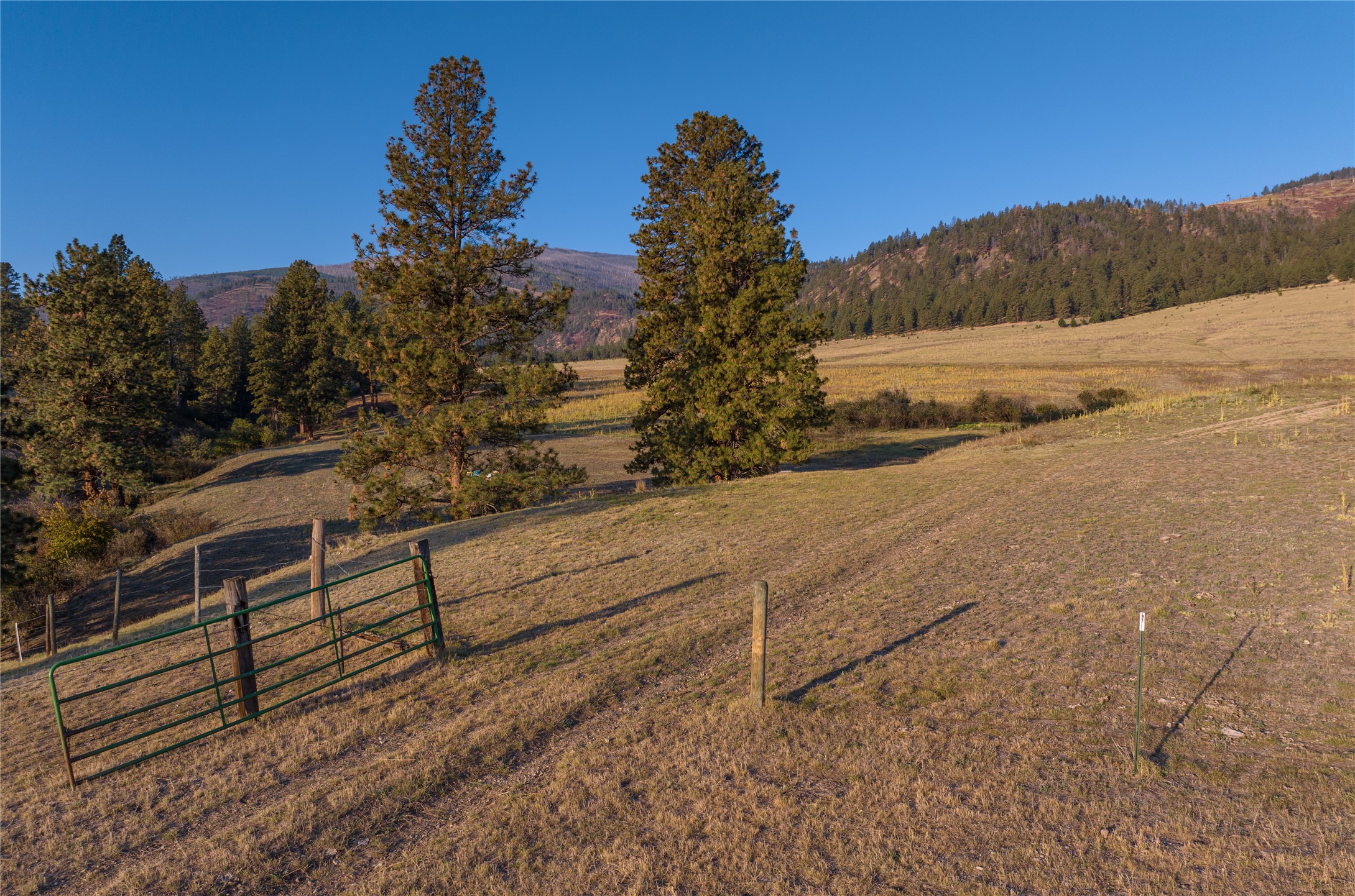 8337 Lamar Trail Property Photo 36